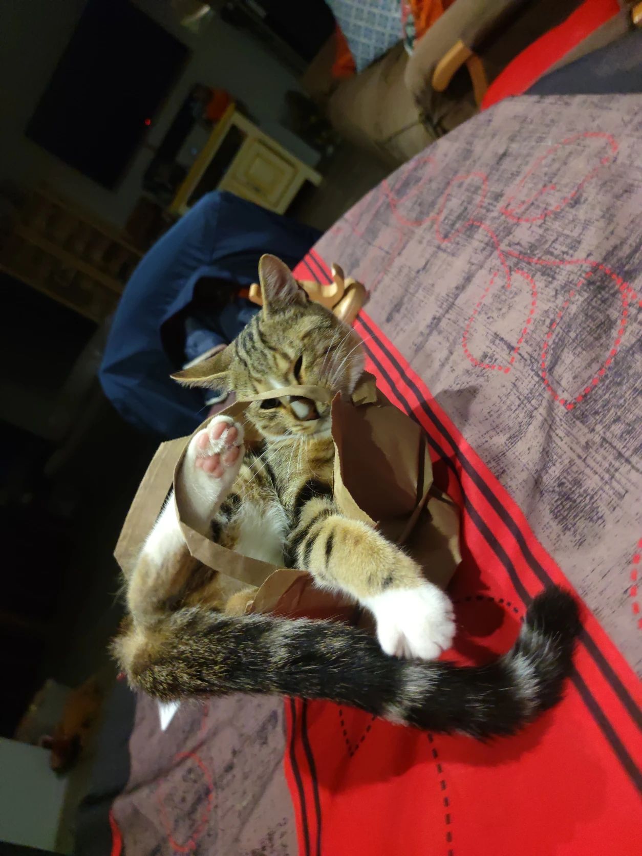 image-5