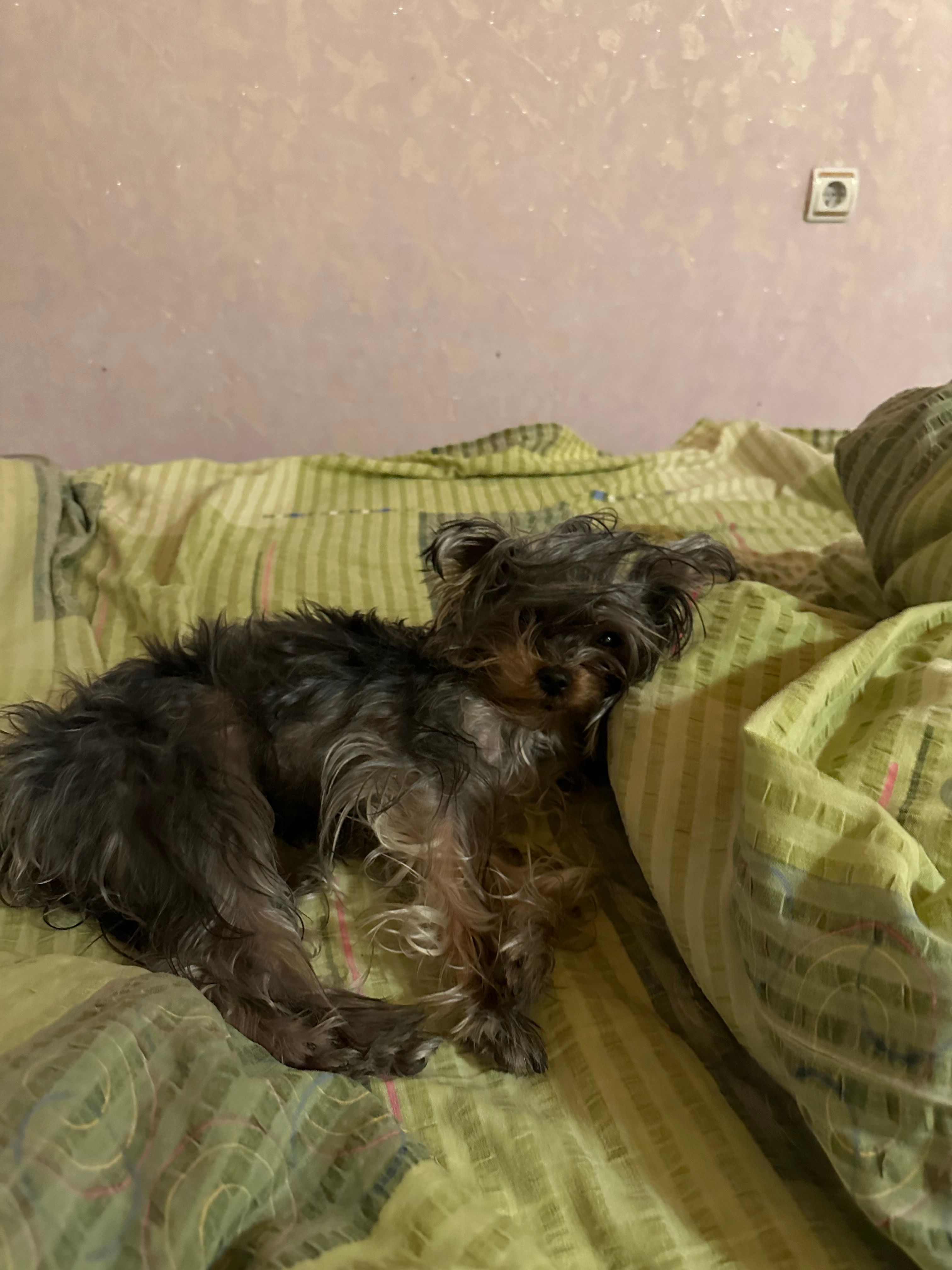 image-15