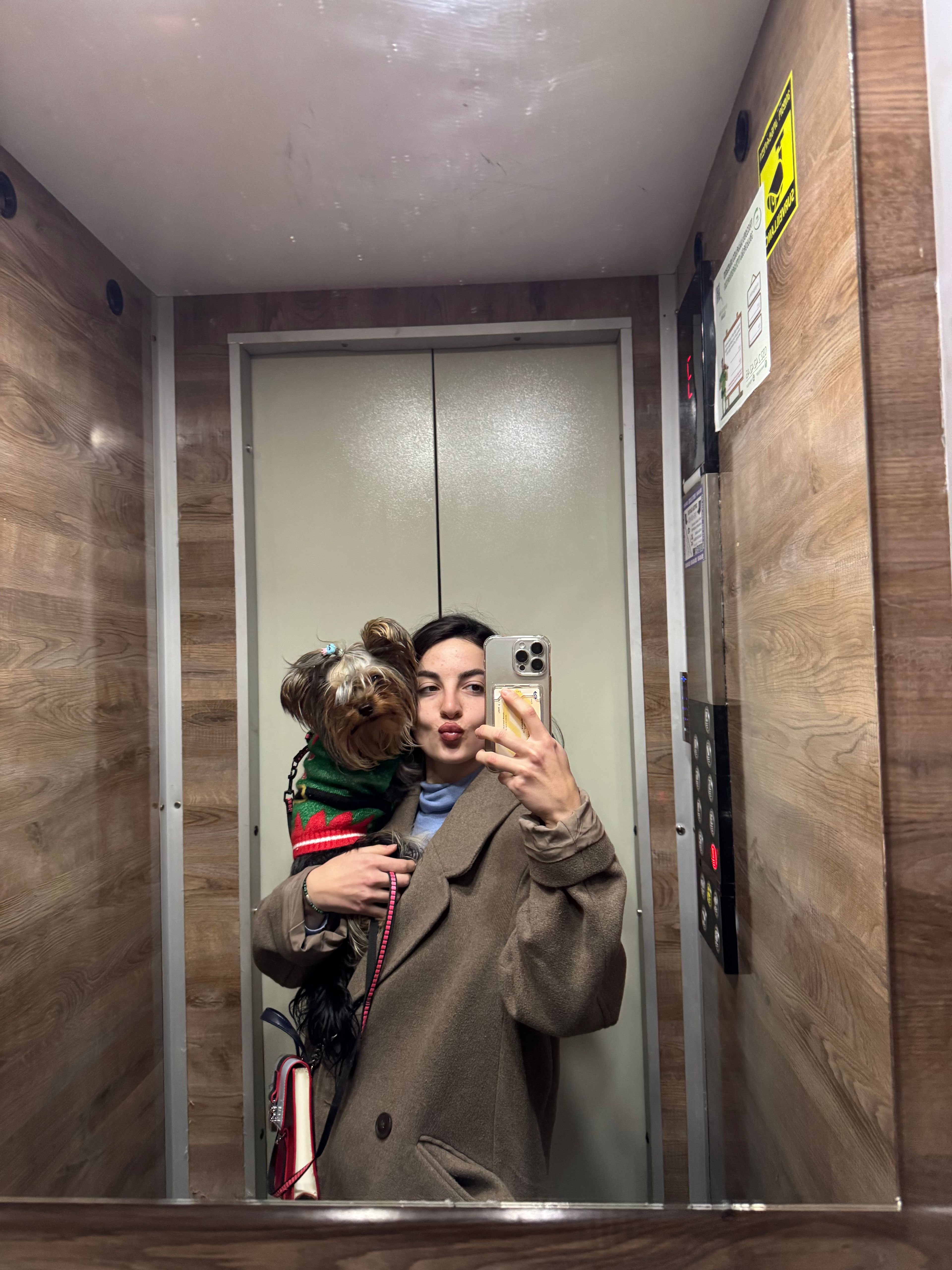 image-7