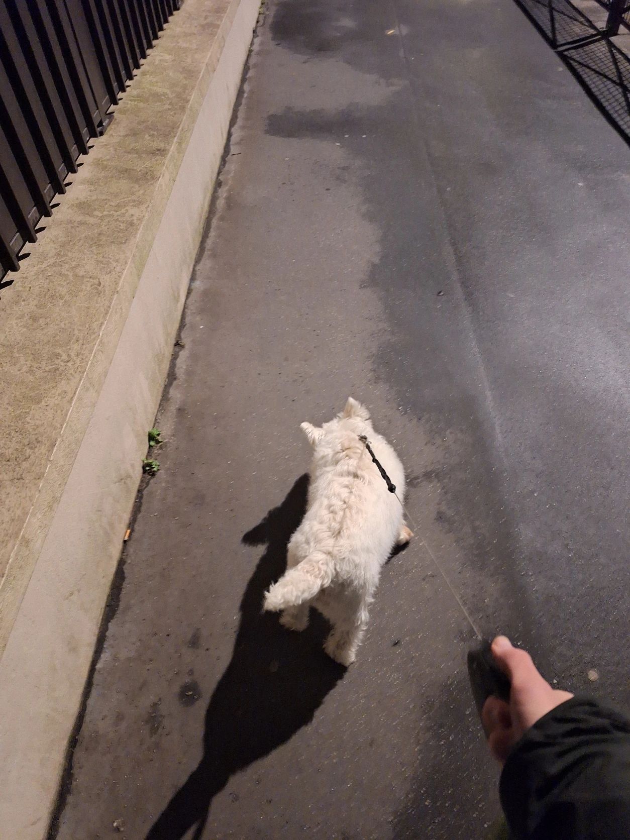 image-11