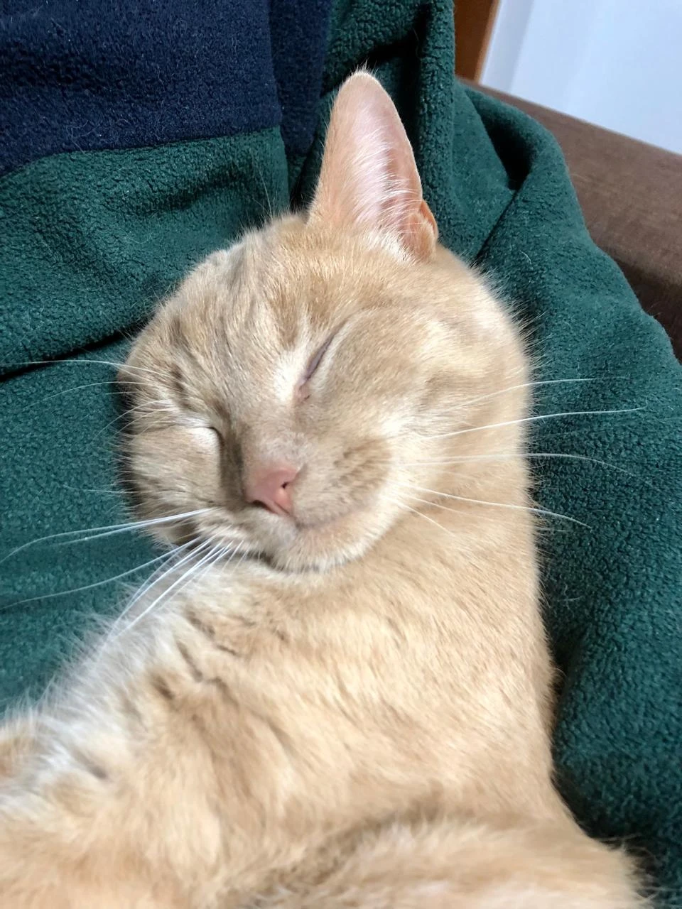 image-8