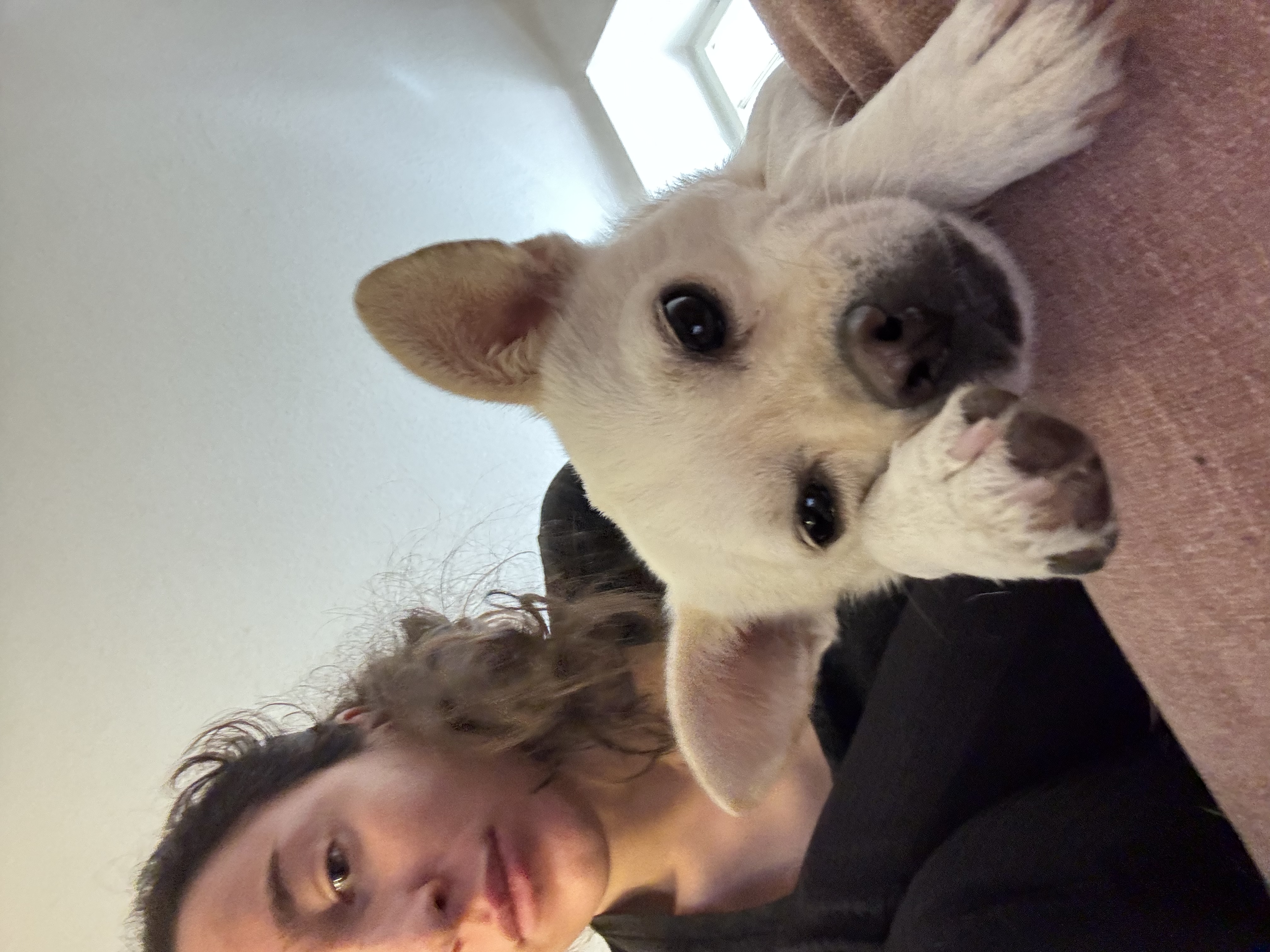 image-5