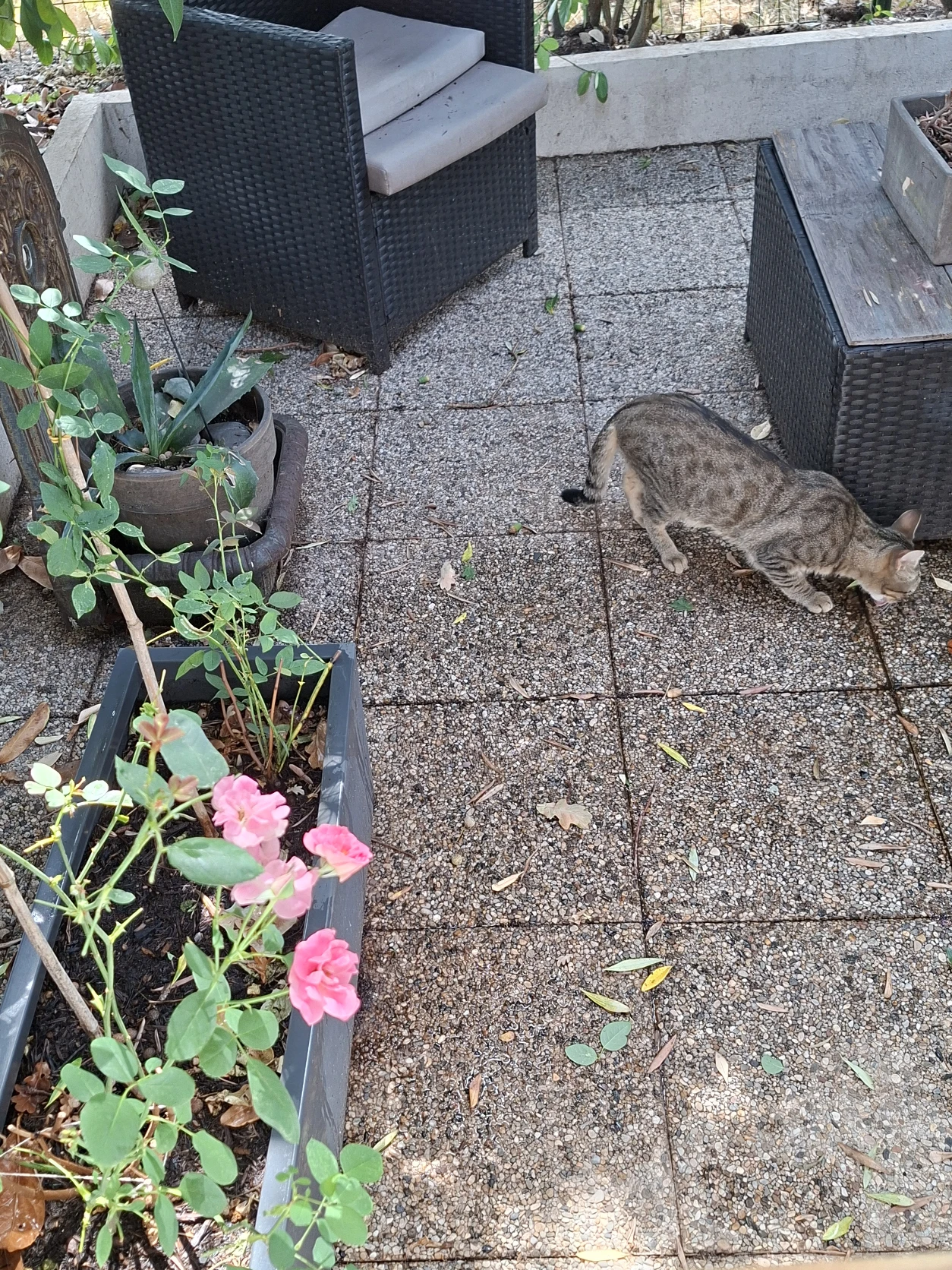 image-15