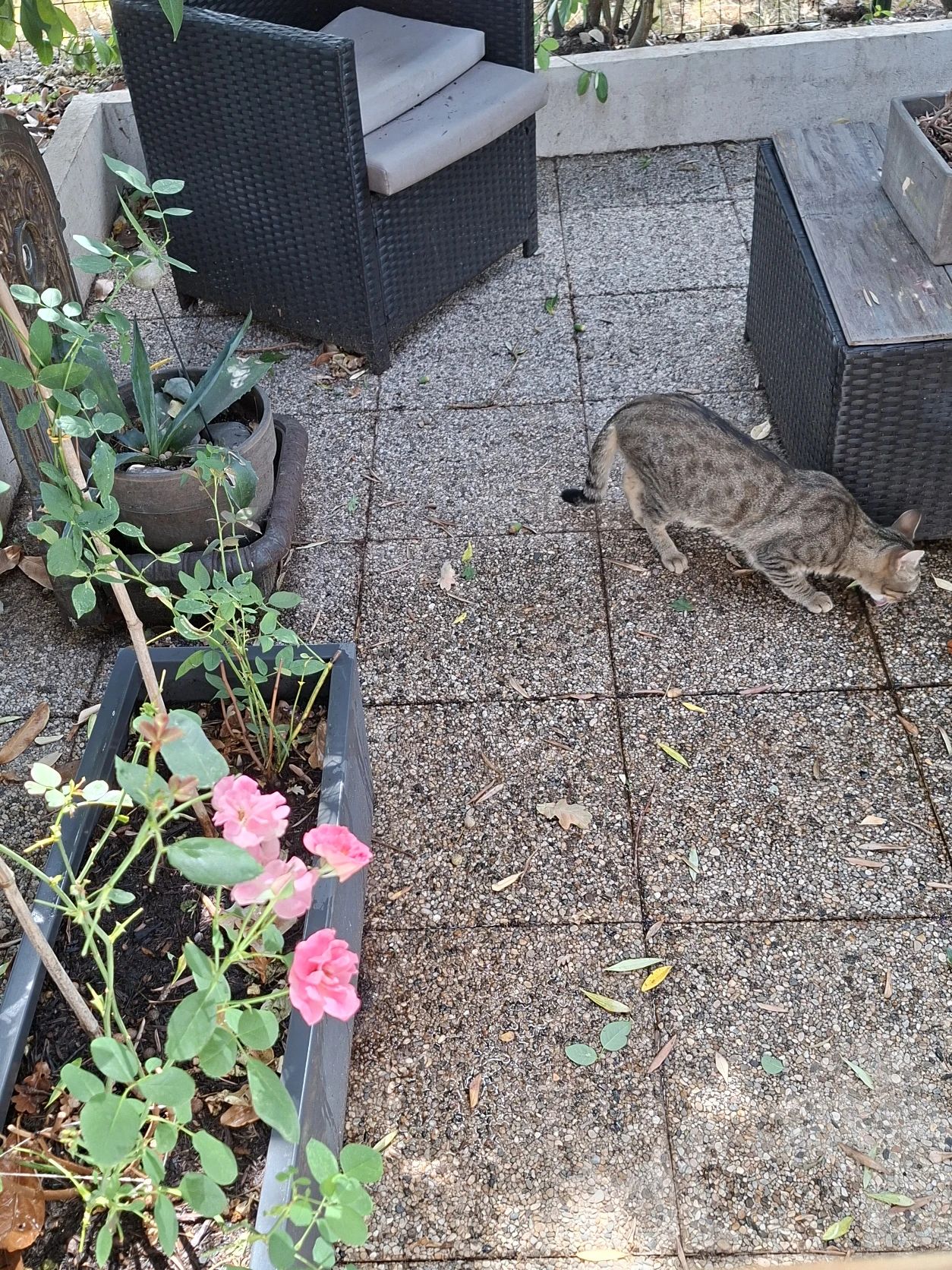 image-15