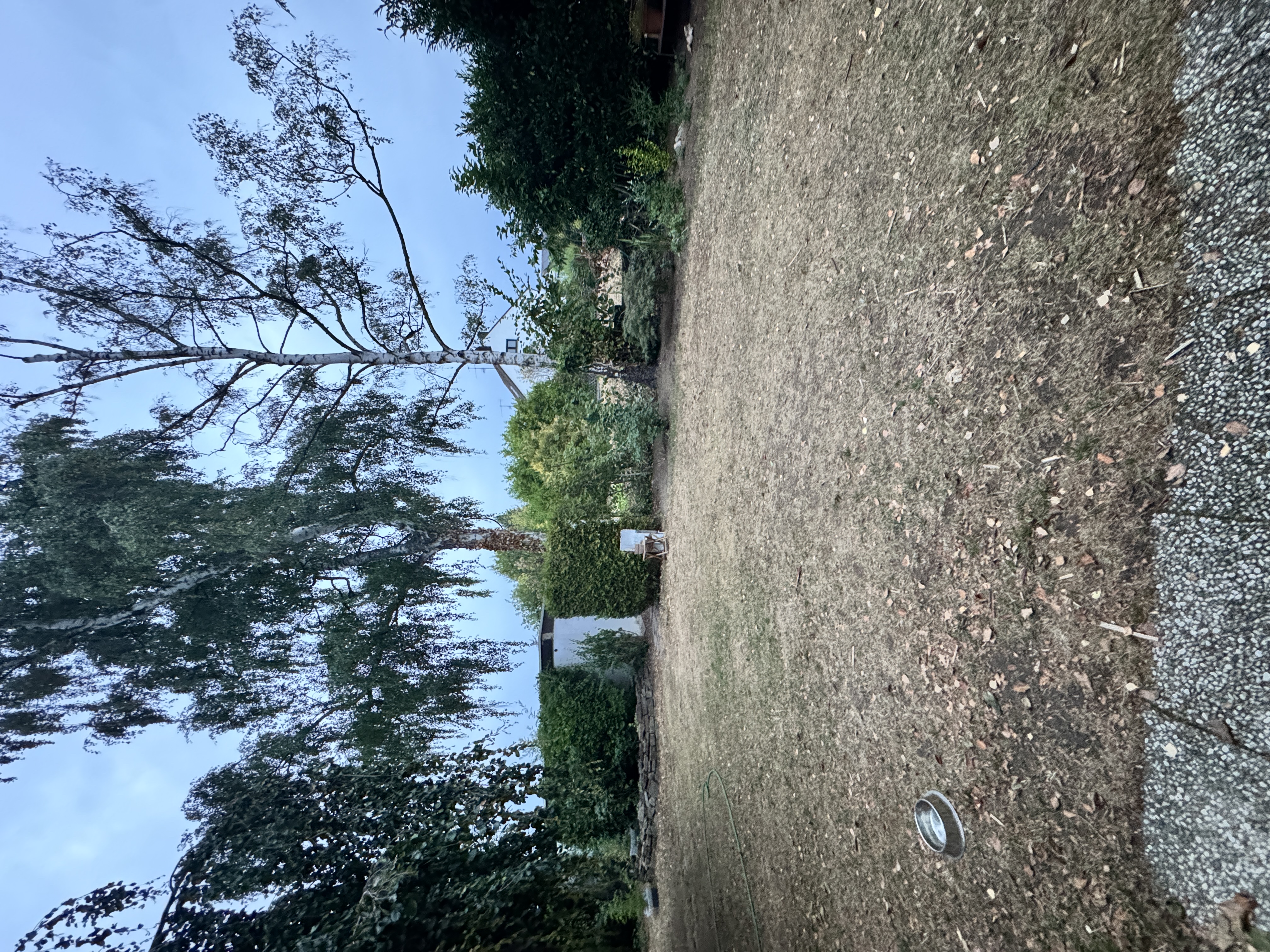 image-18