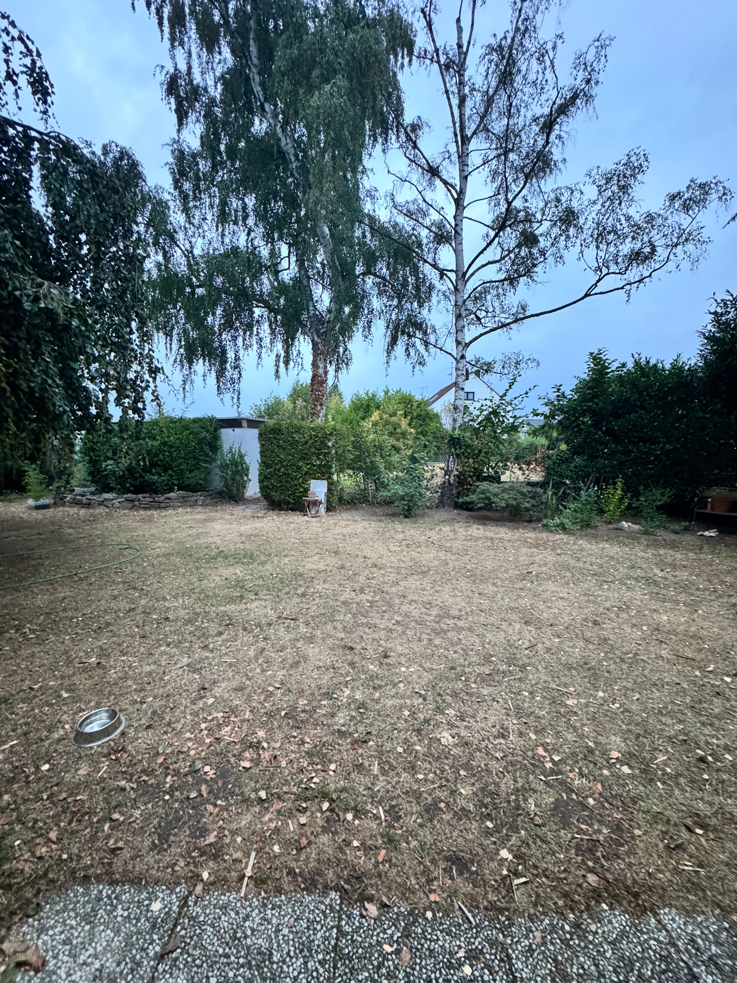 image-18