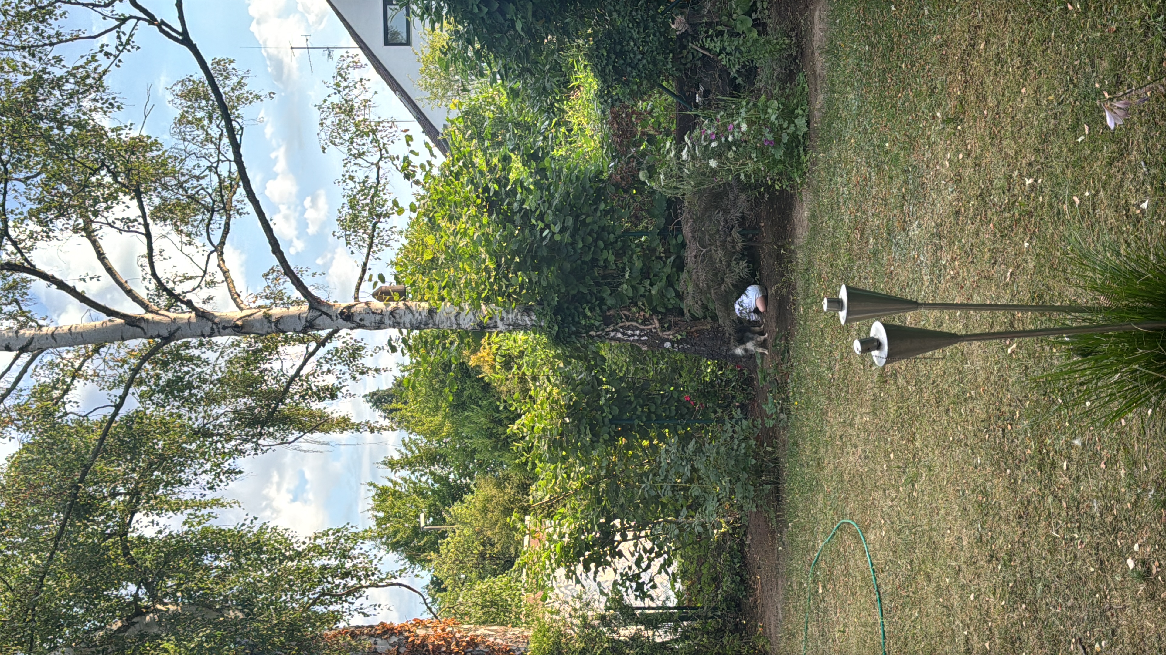 image-14