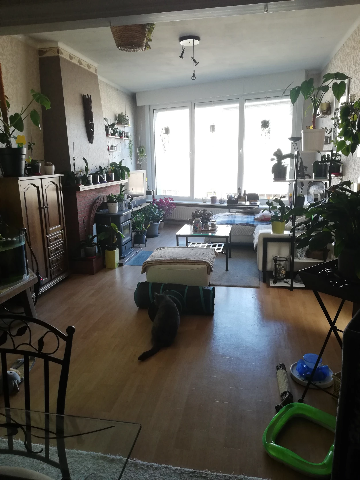 image-25