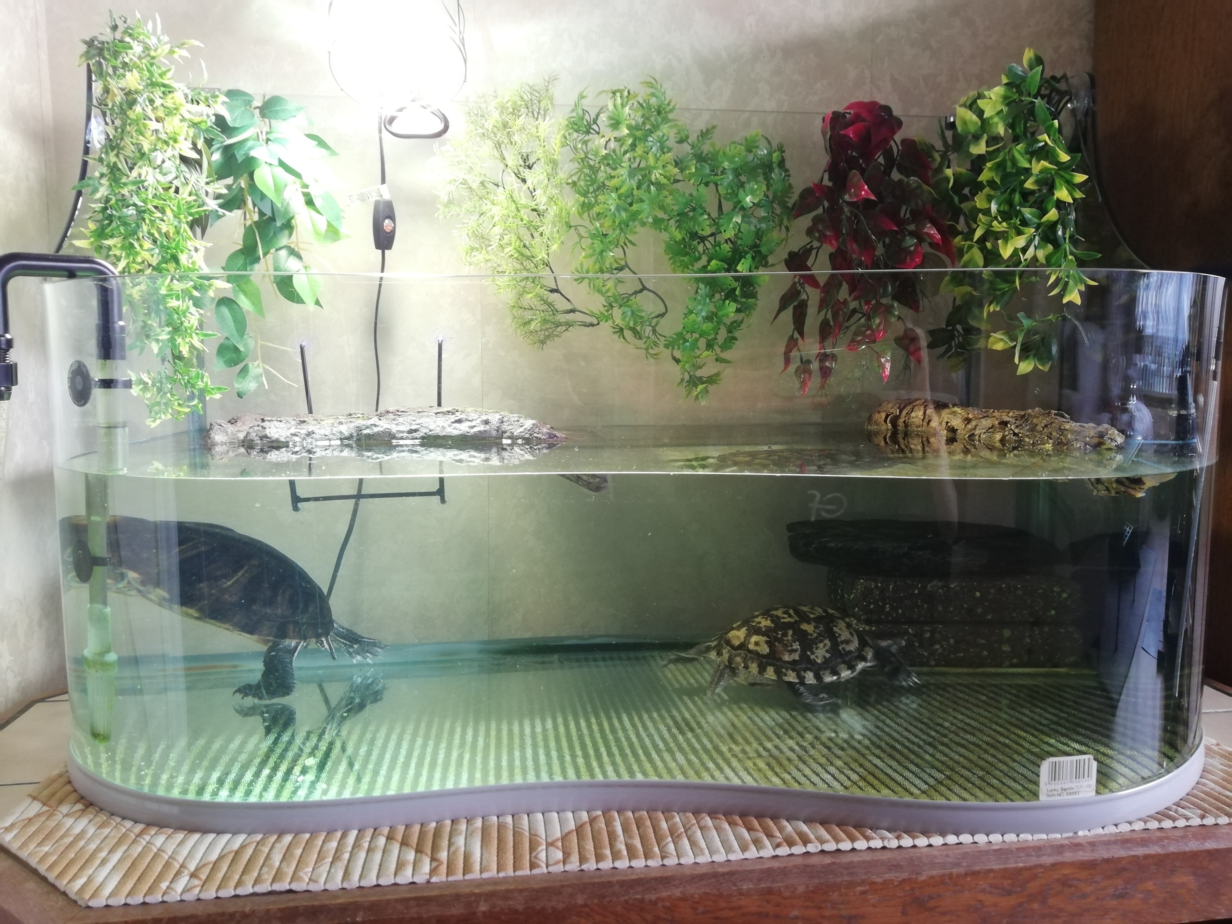 image-7