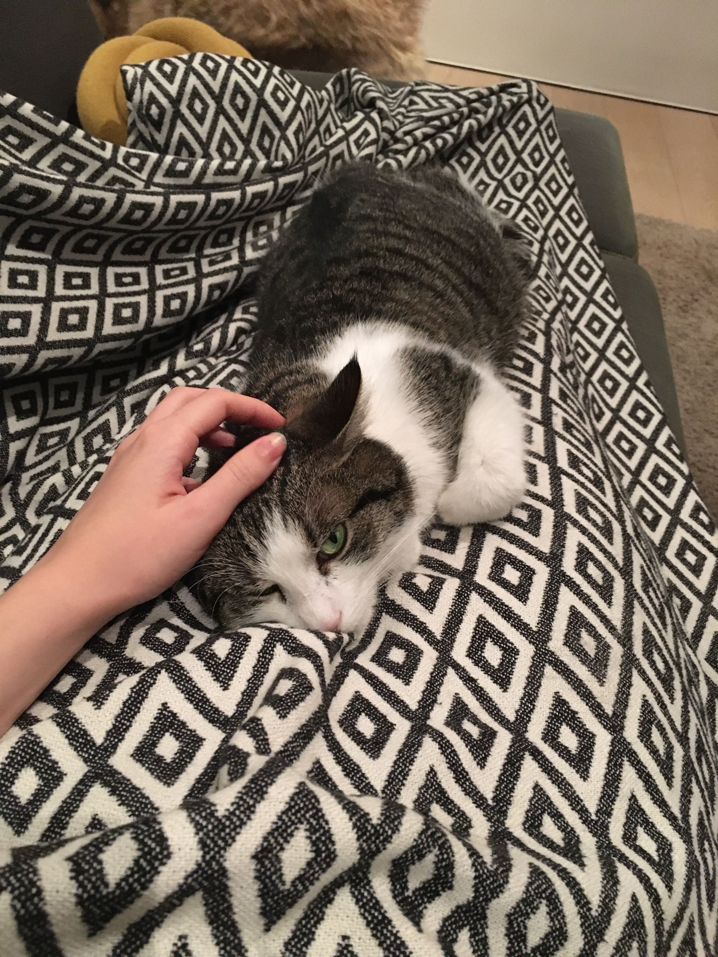 image-7