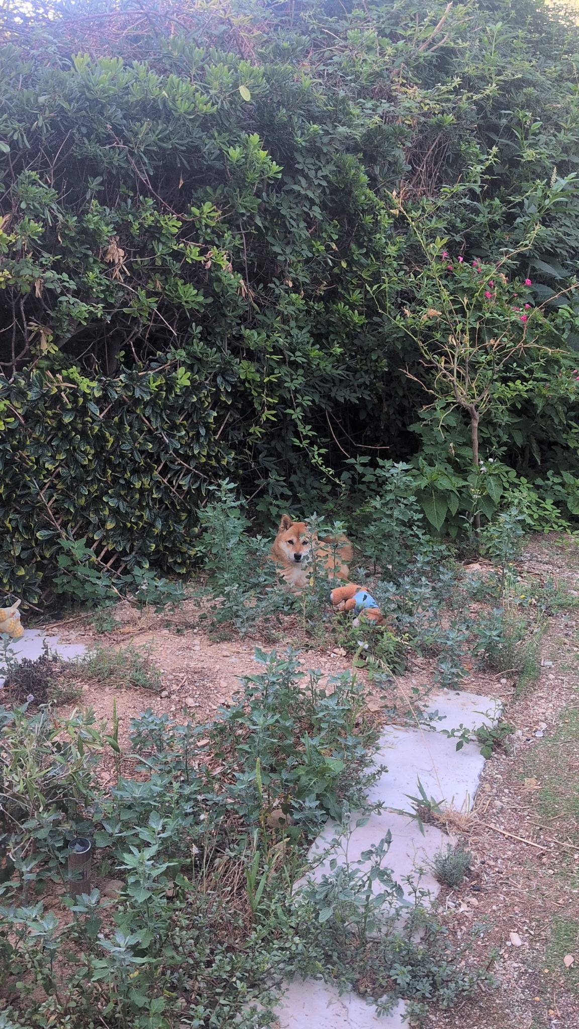 image-10