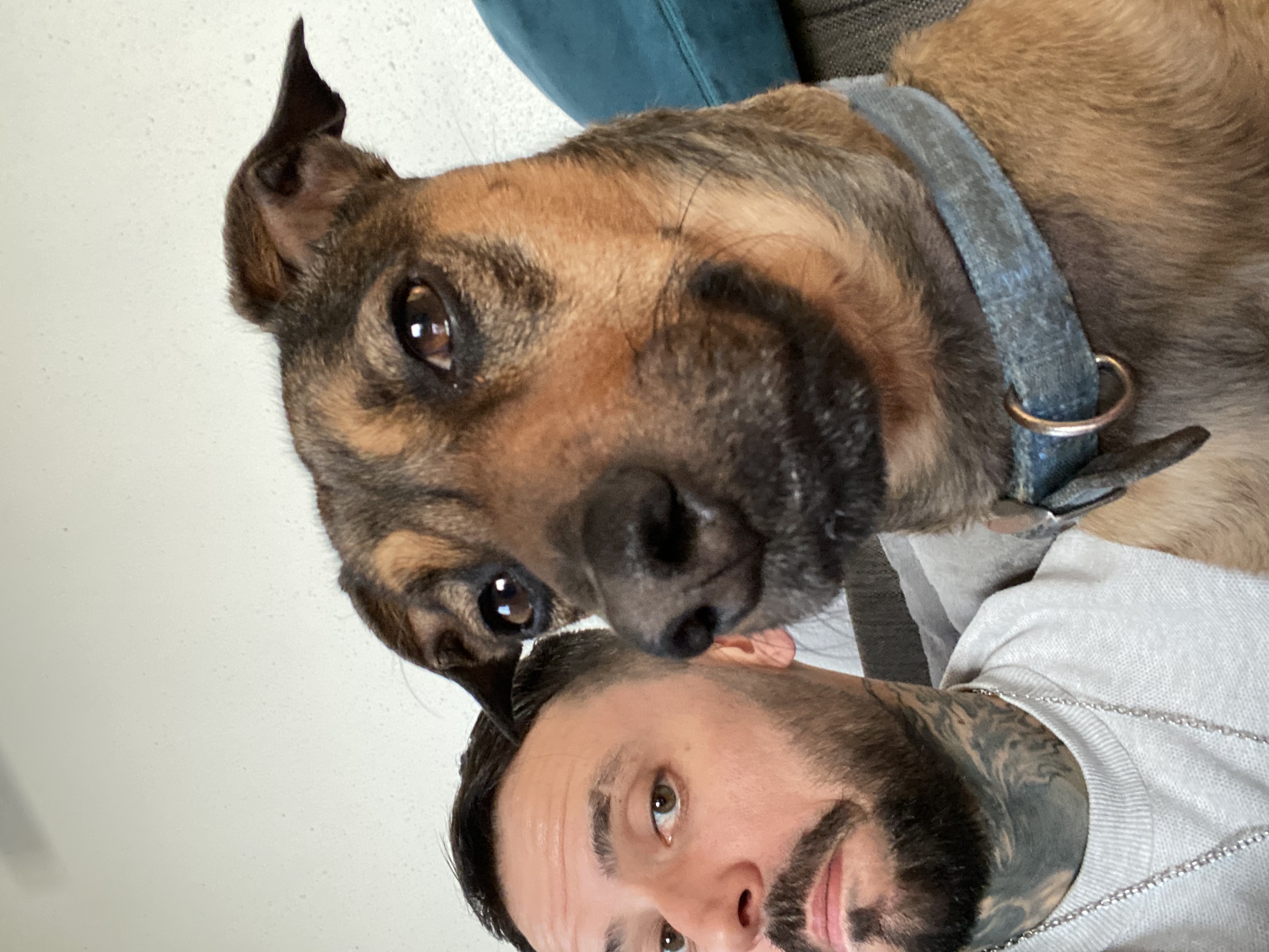 image-6
