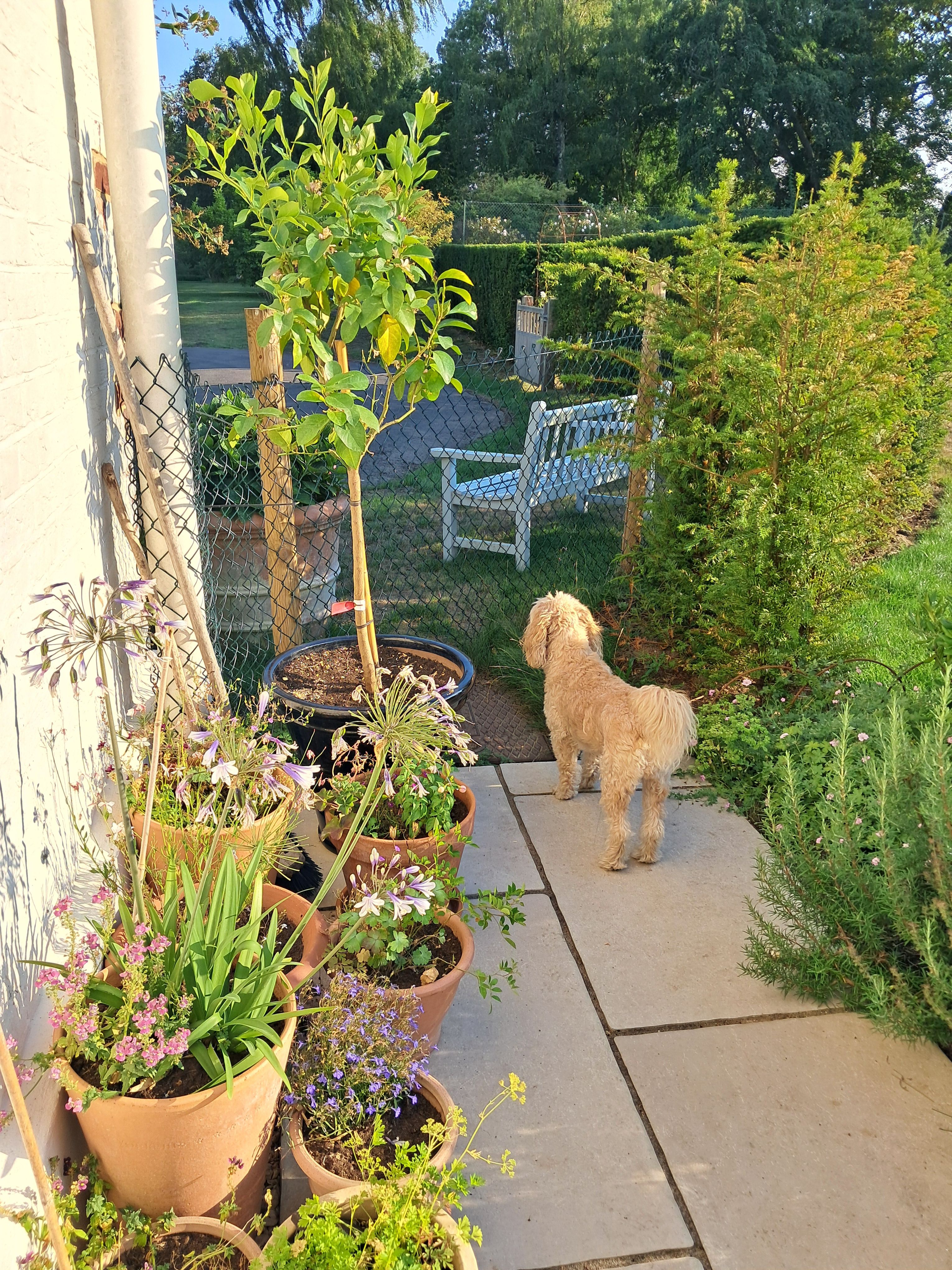 image-15