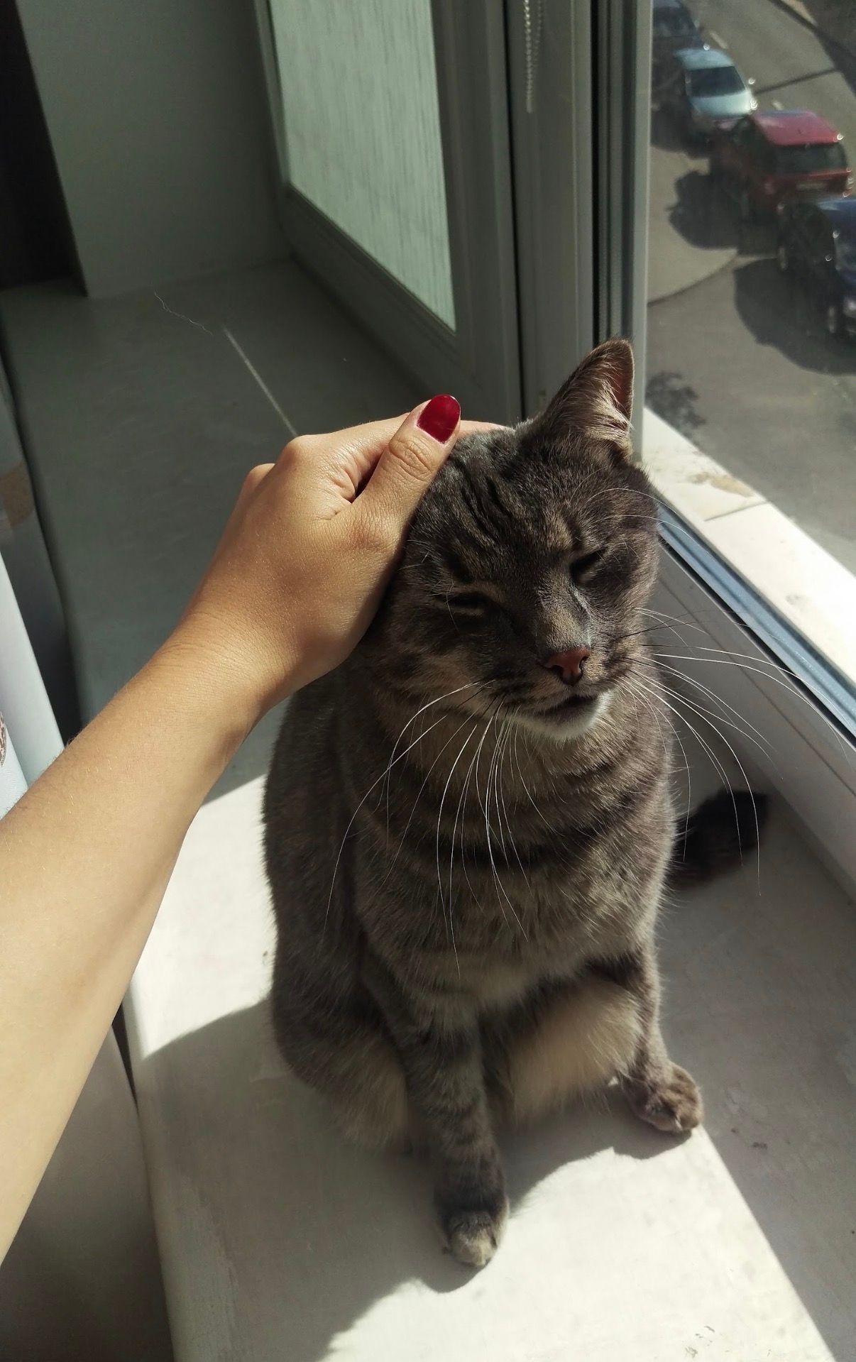 image-7
