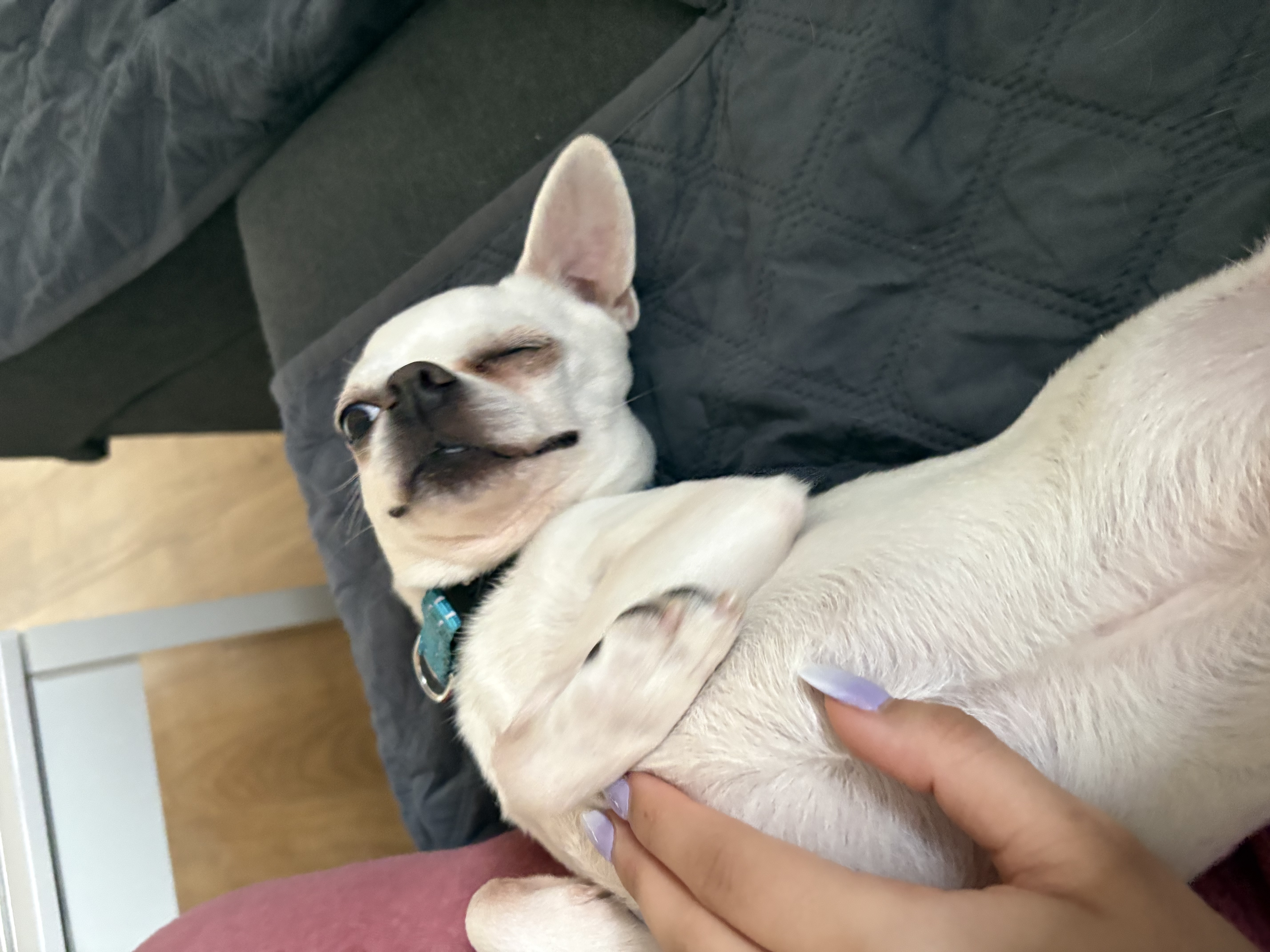 image-6