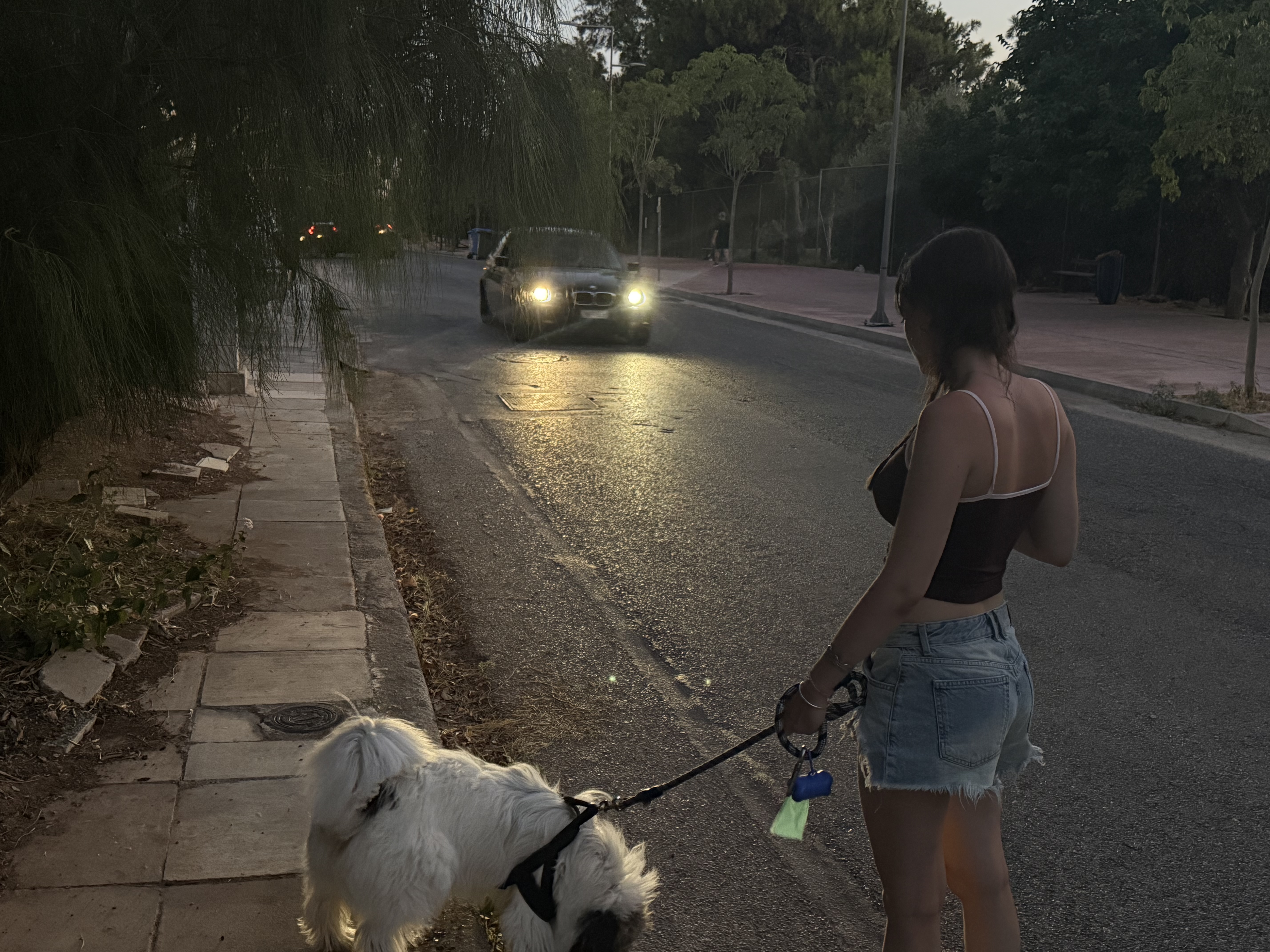 image-9