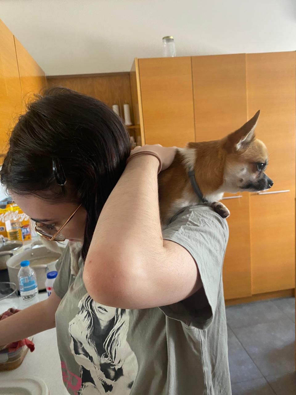 image-8