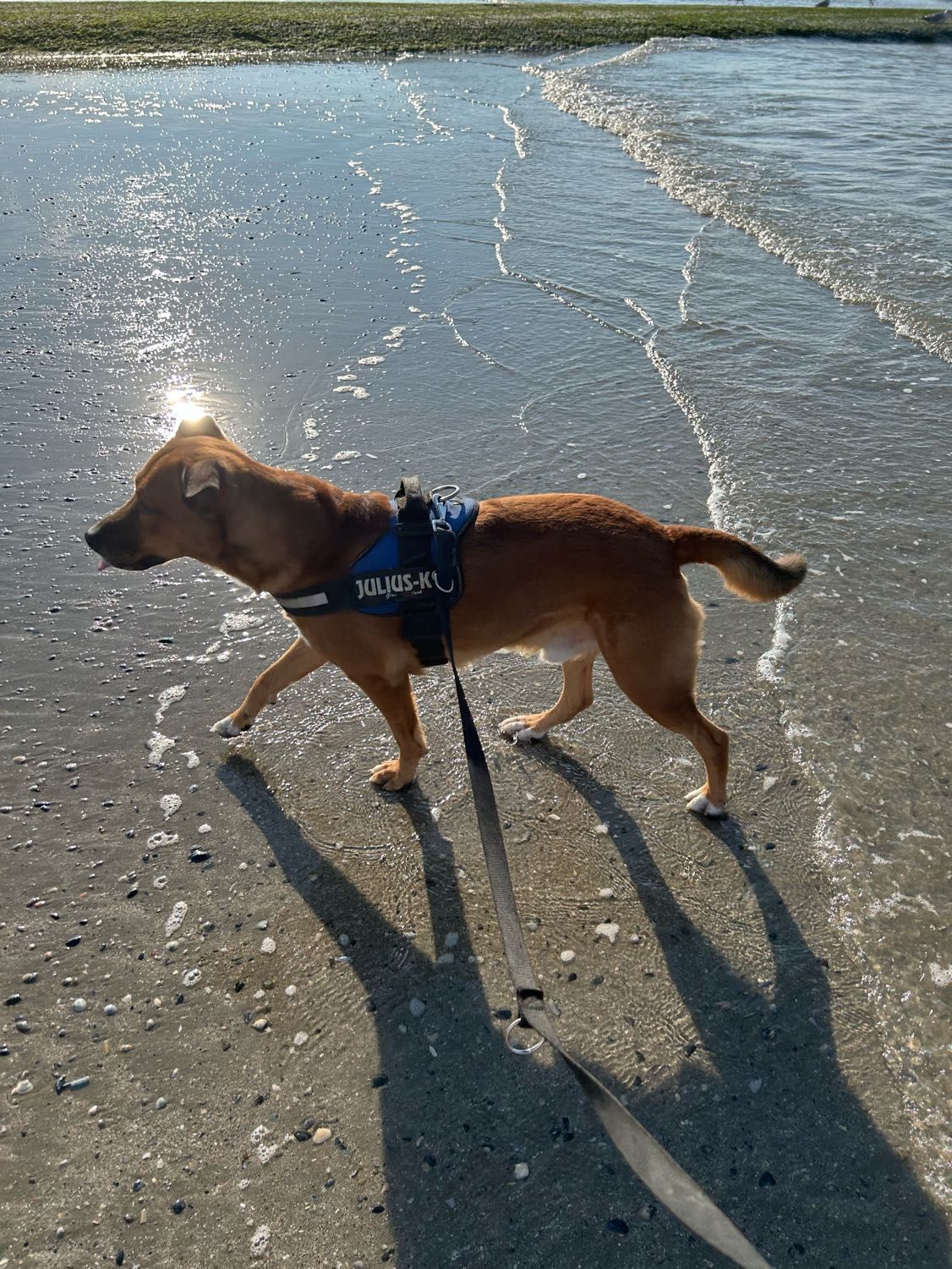 image-8