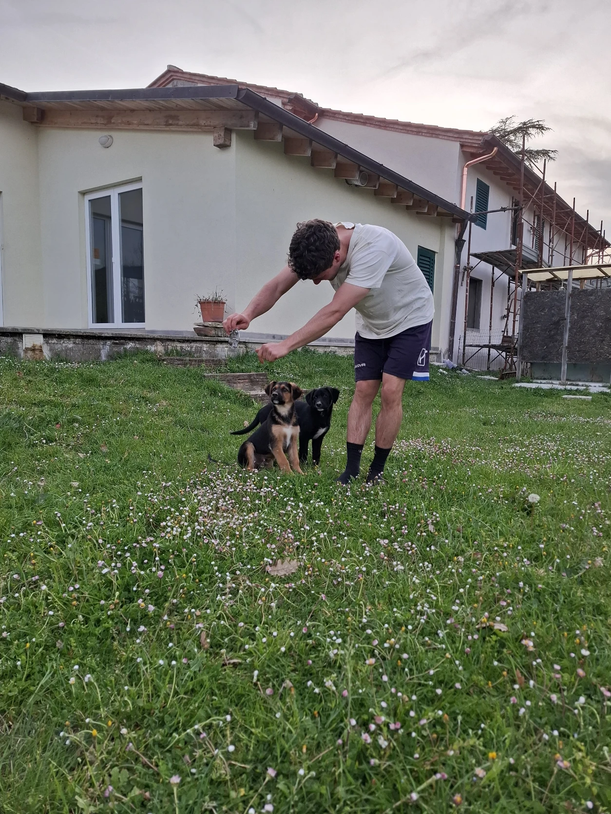 image-3