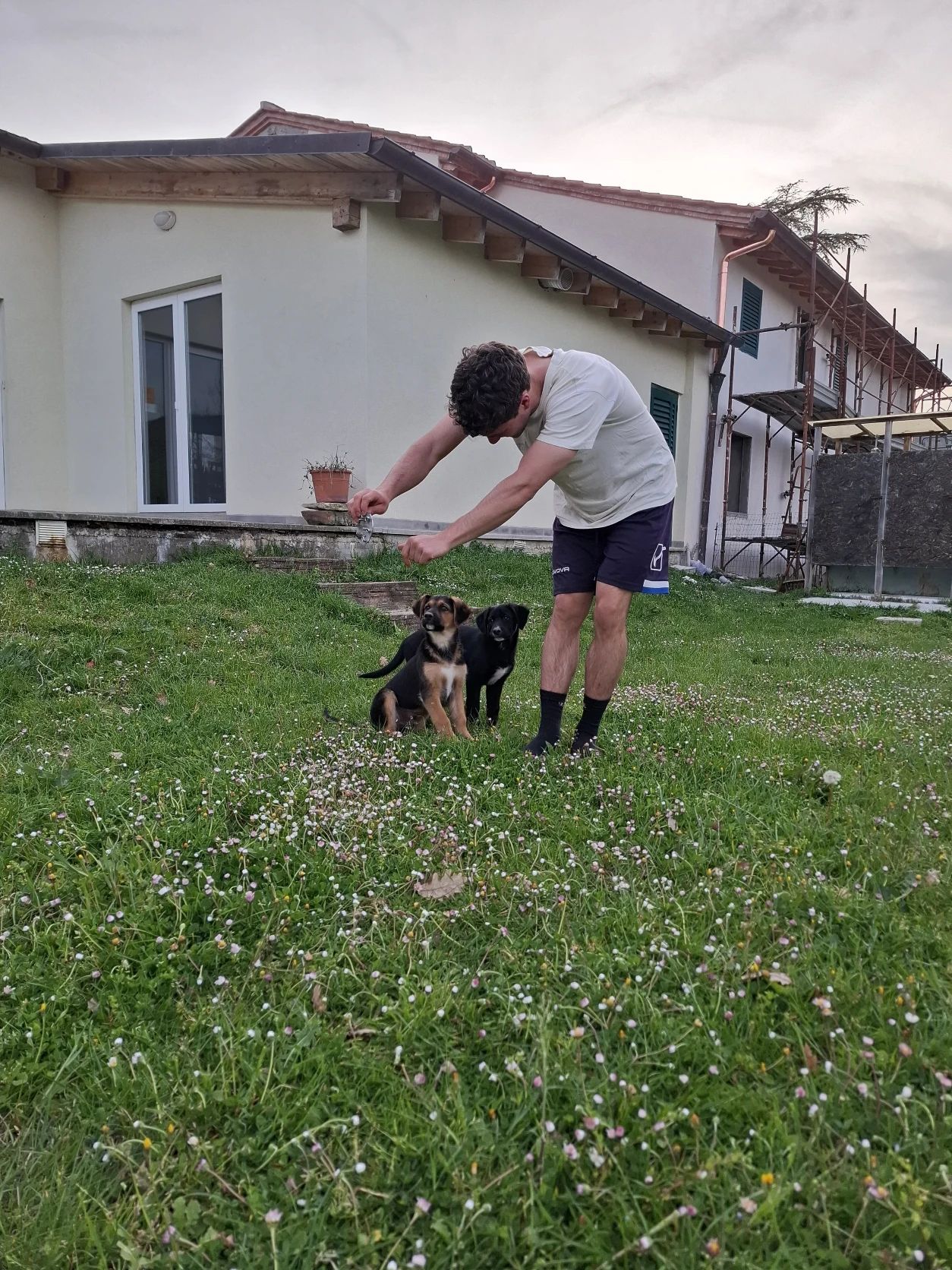 image-3