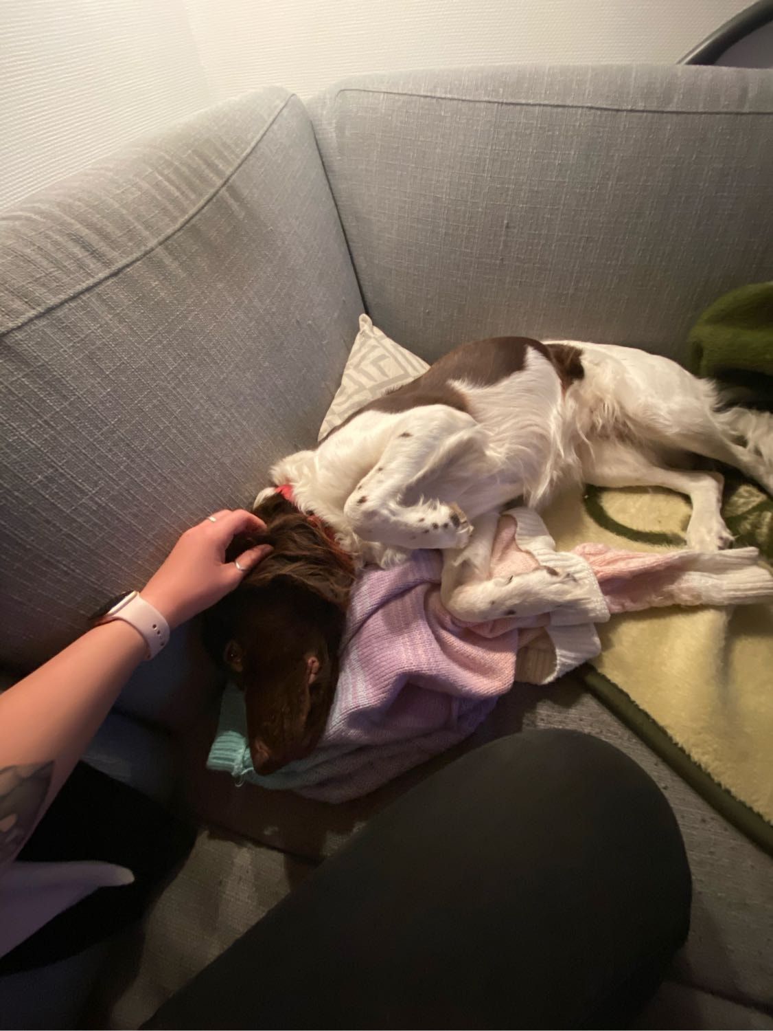 image-6