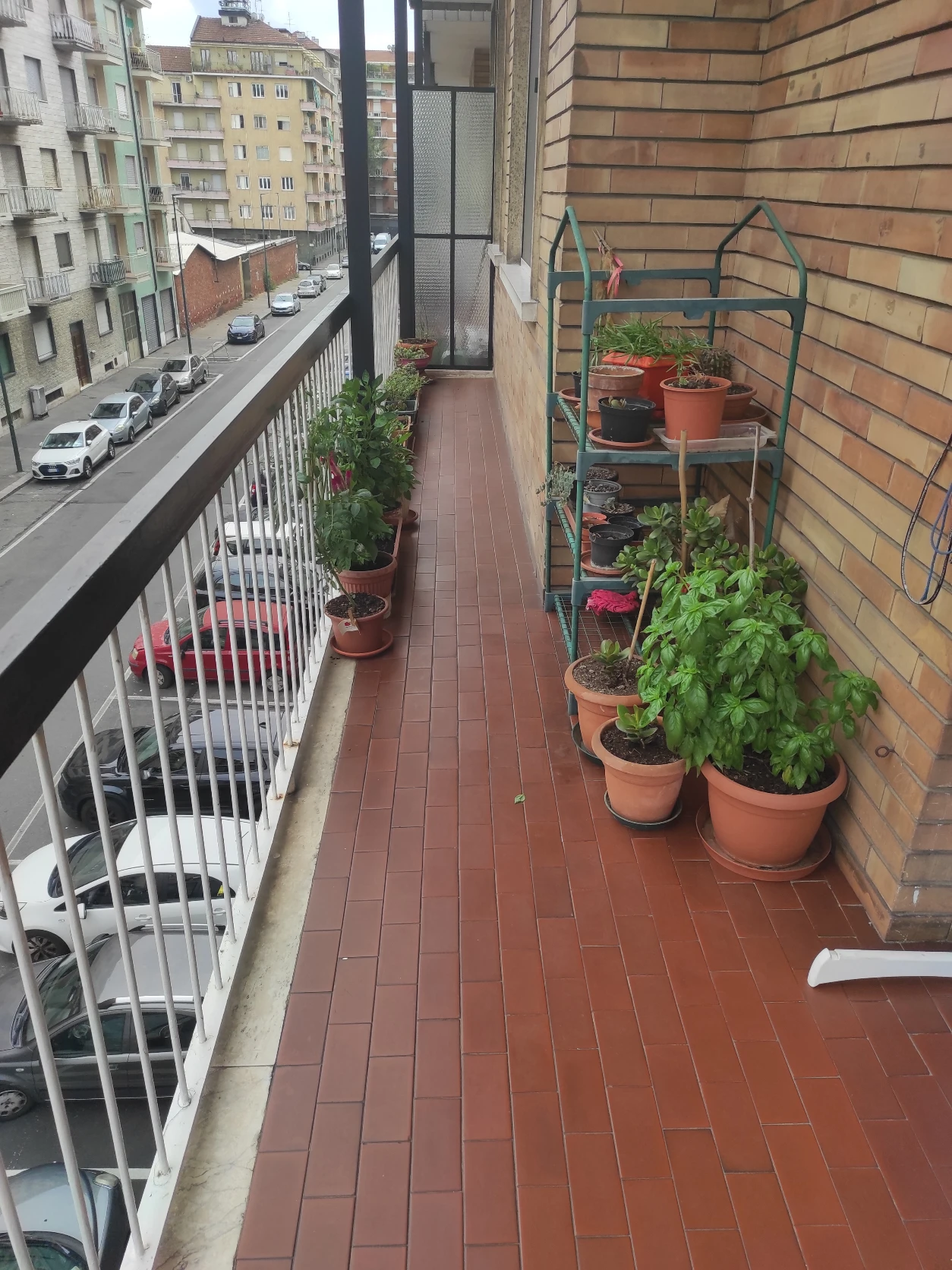 image-19