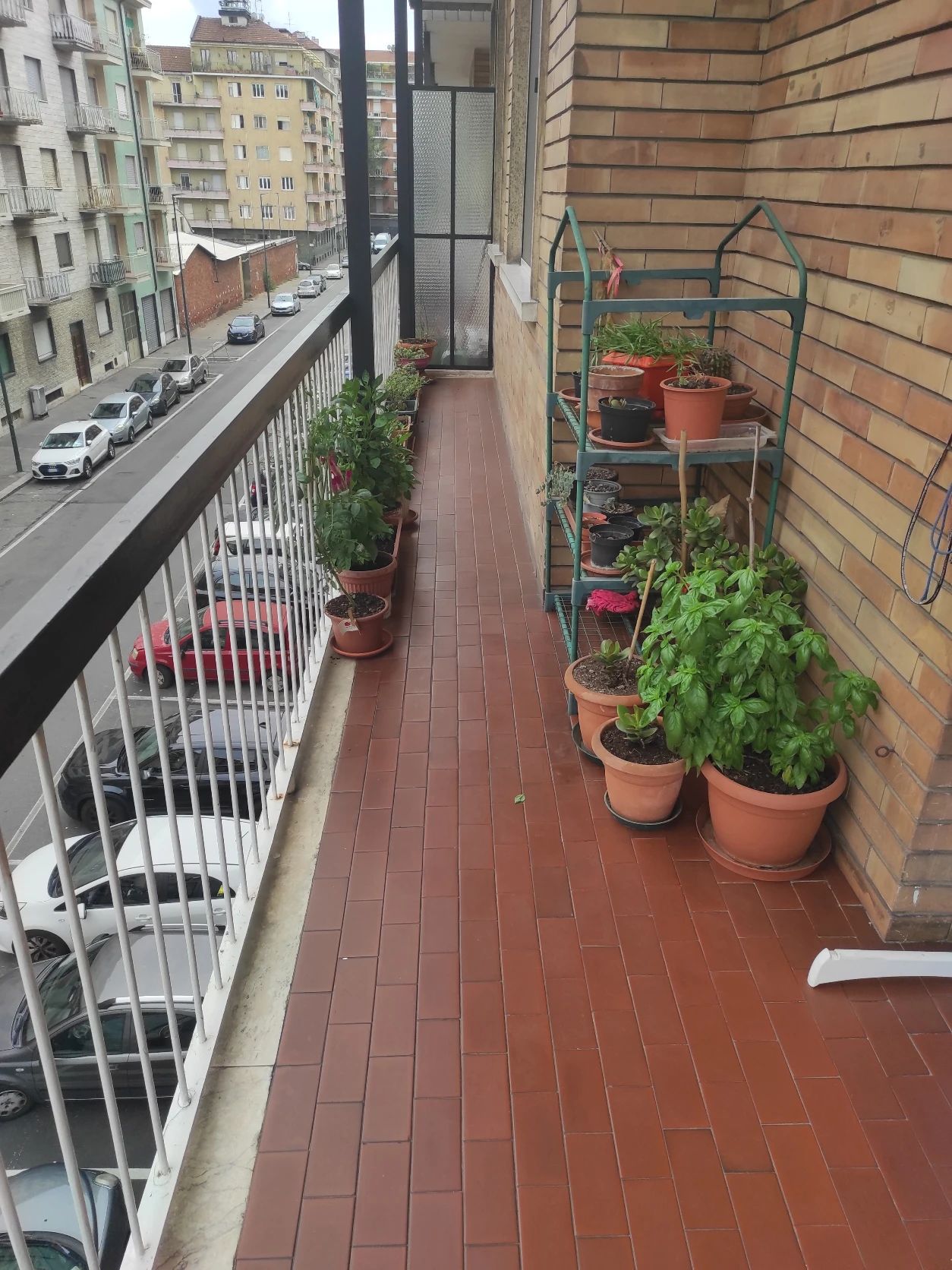 image-19