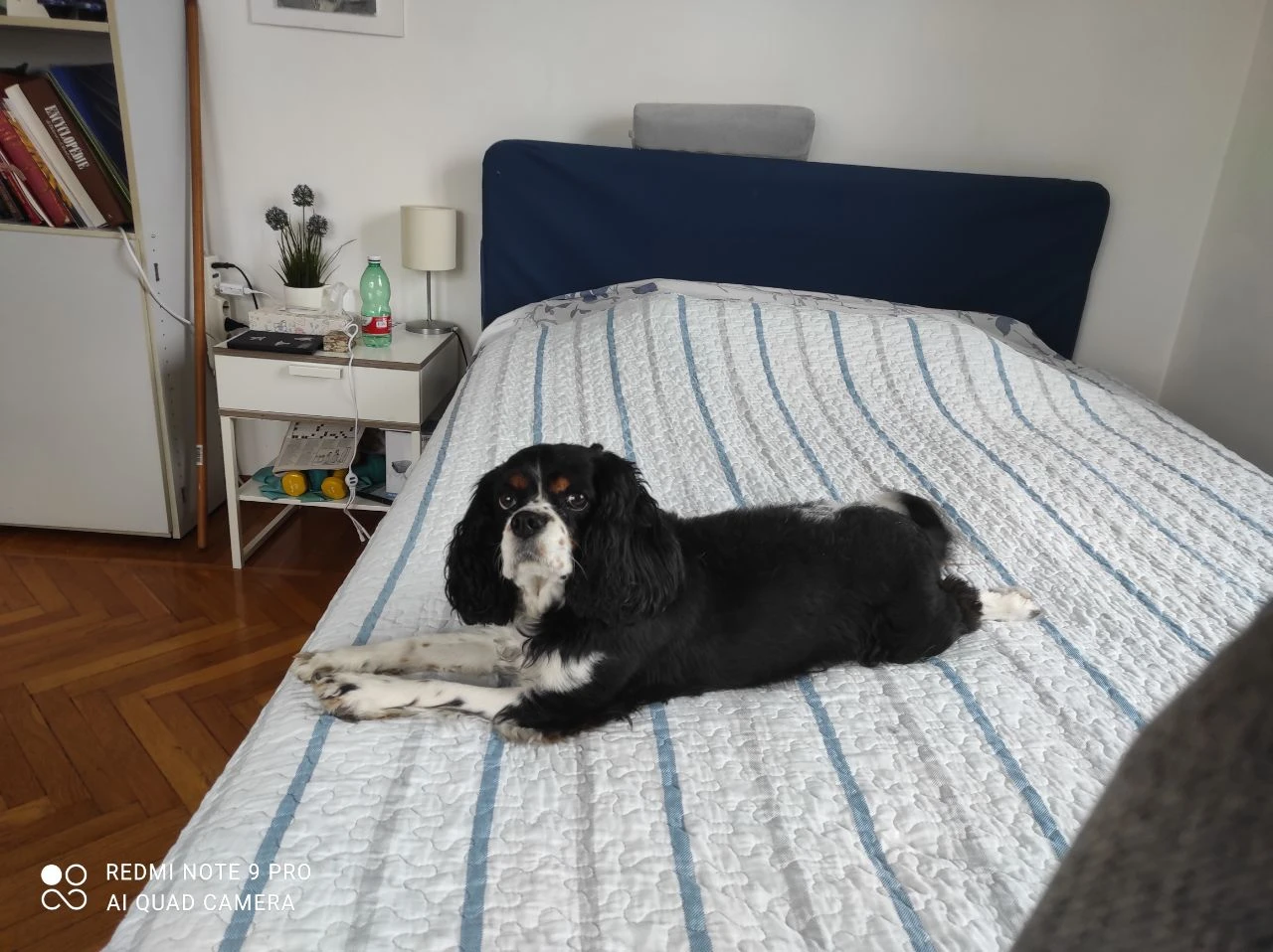 image-7