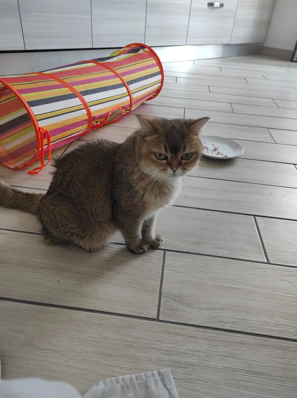 image-10