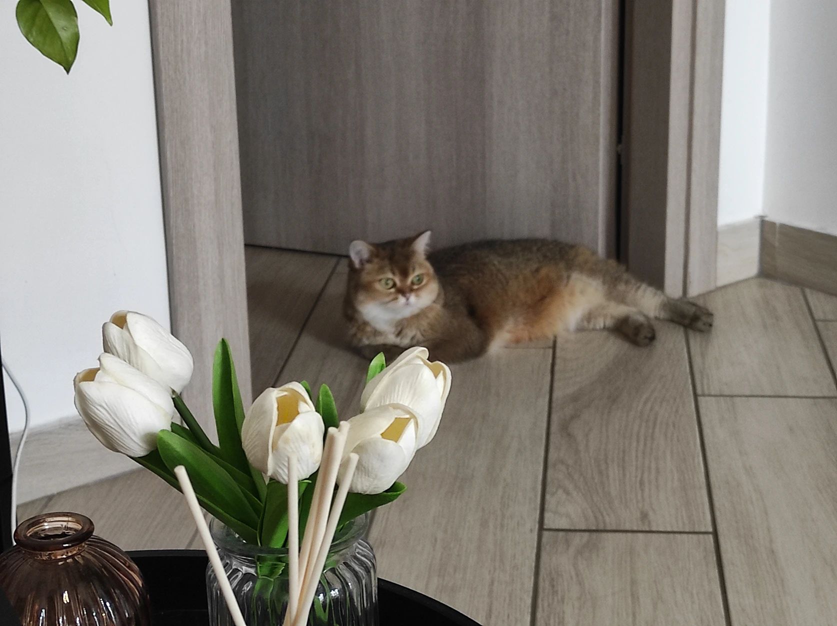 image-13
