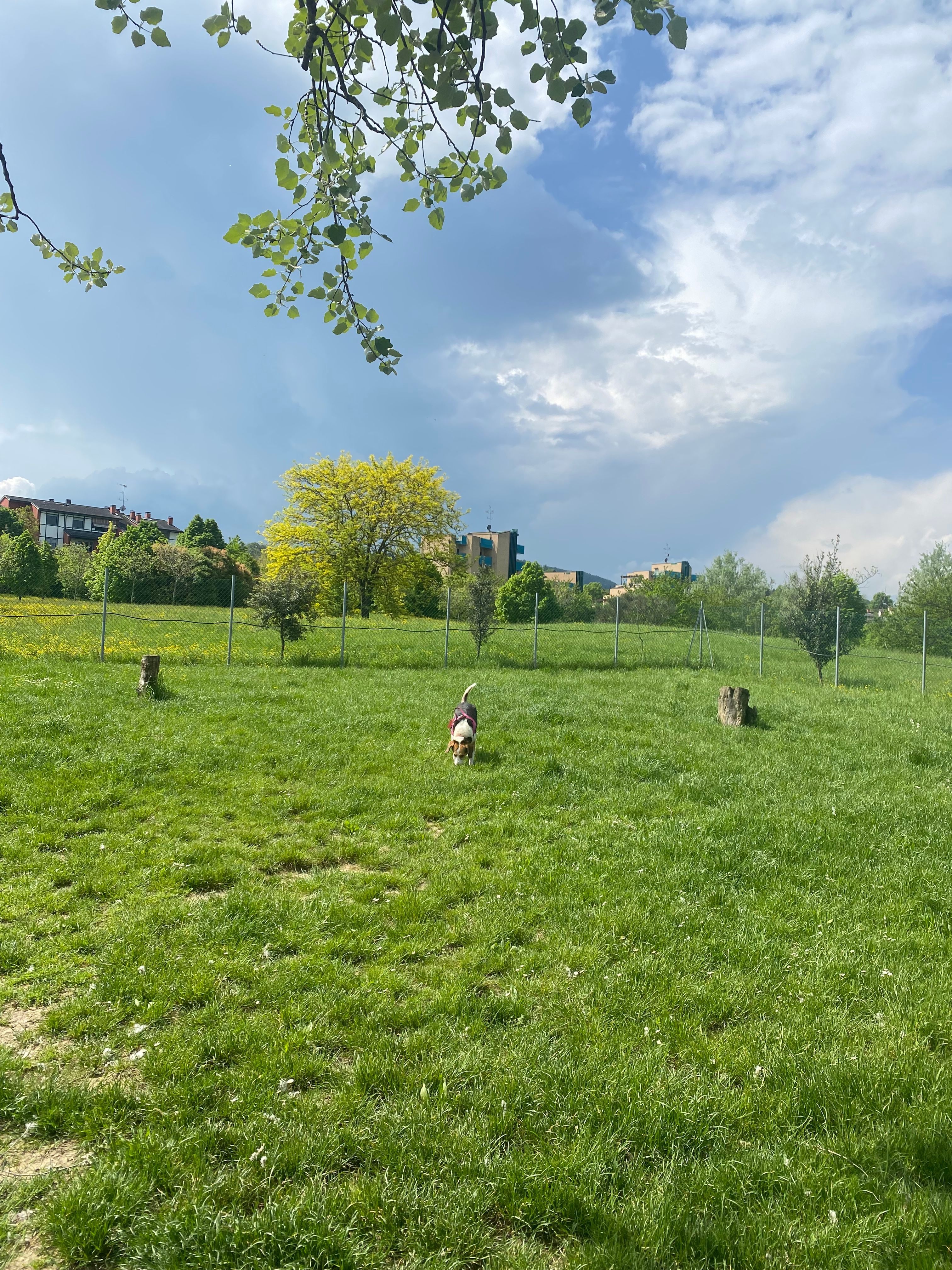 image-25