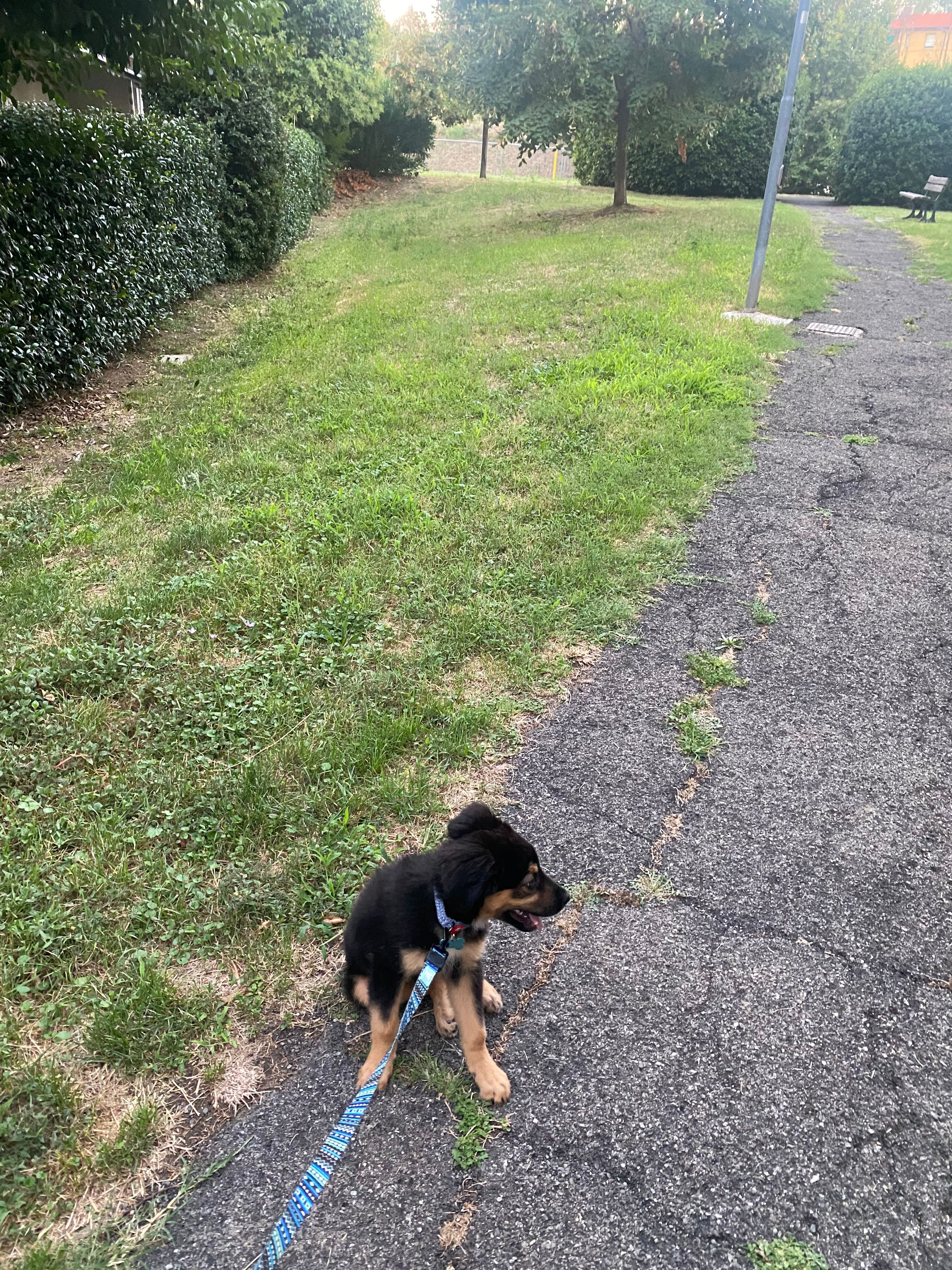 image-18