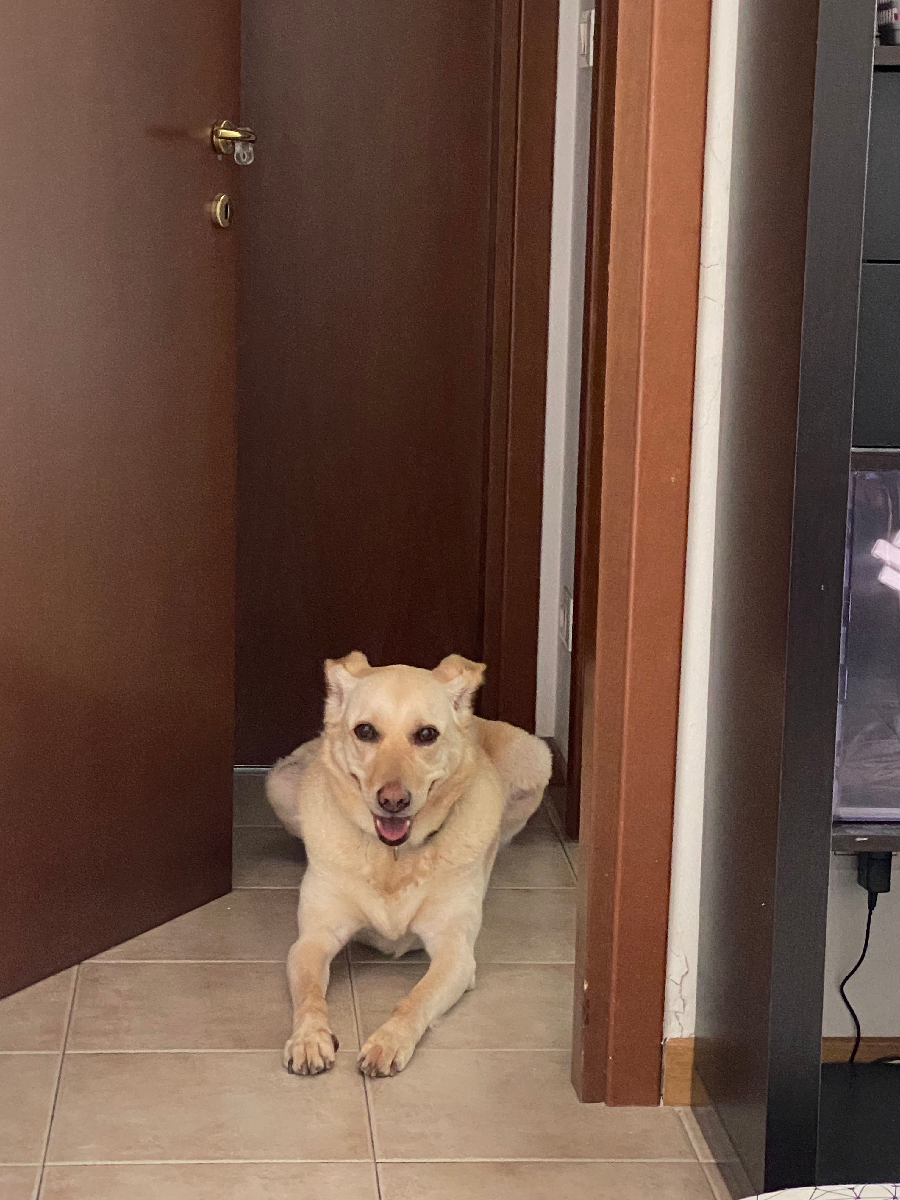 image-16