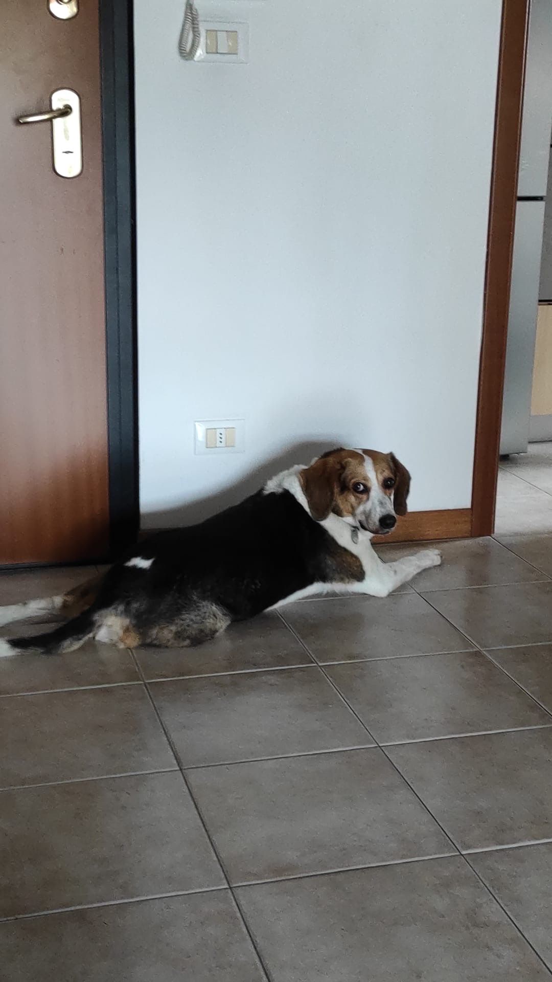 image-26