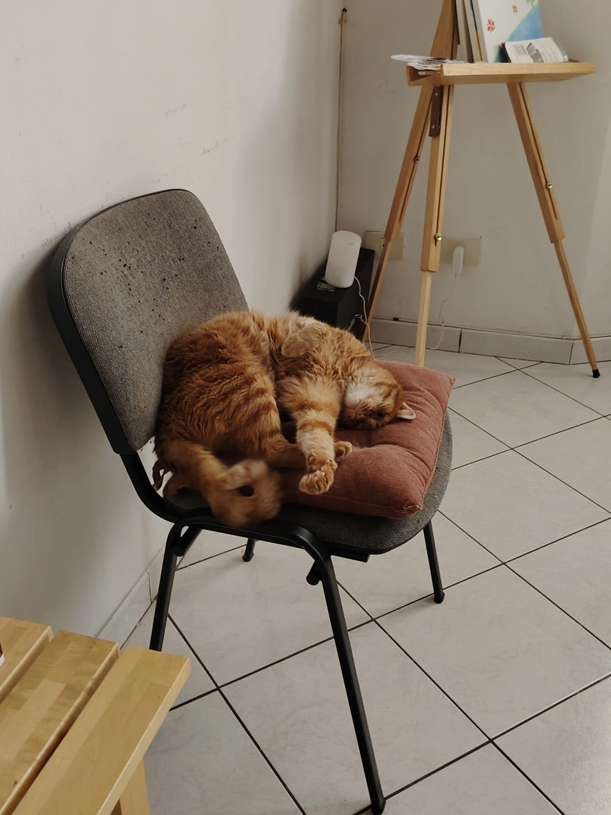 image-5