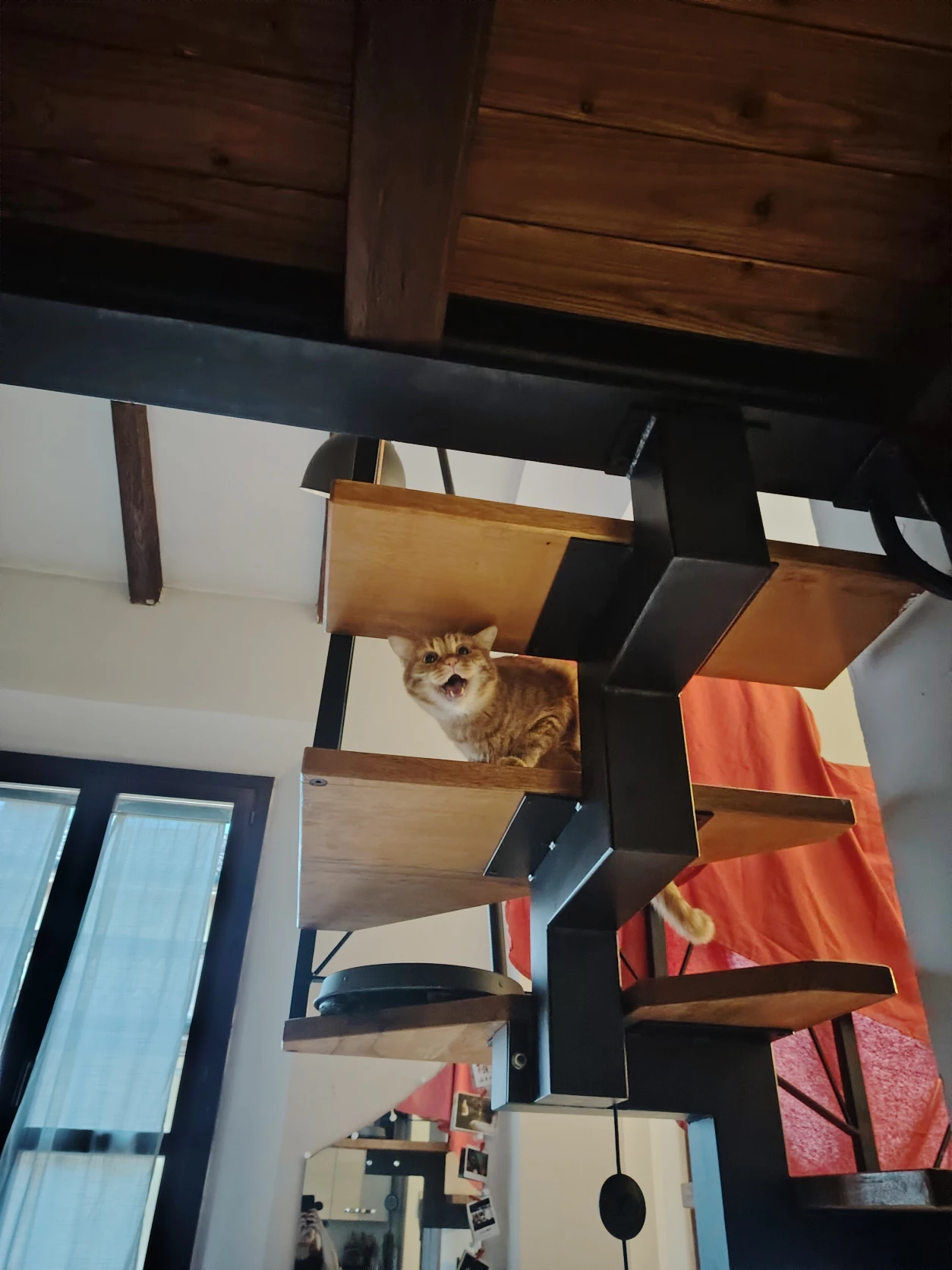 image-6