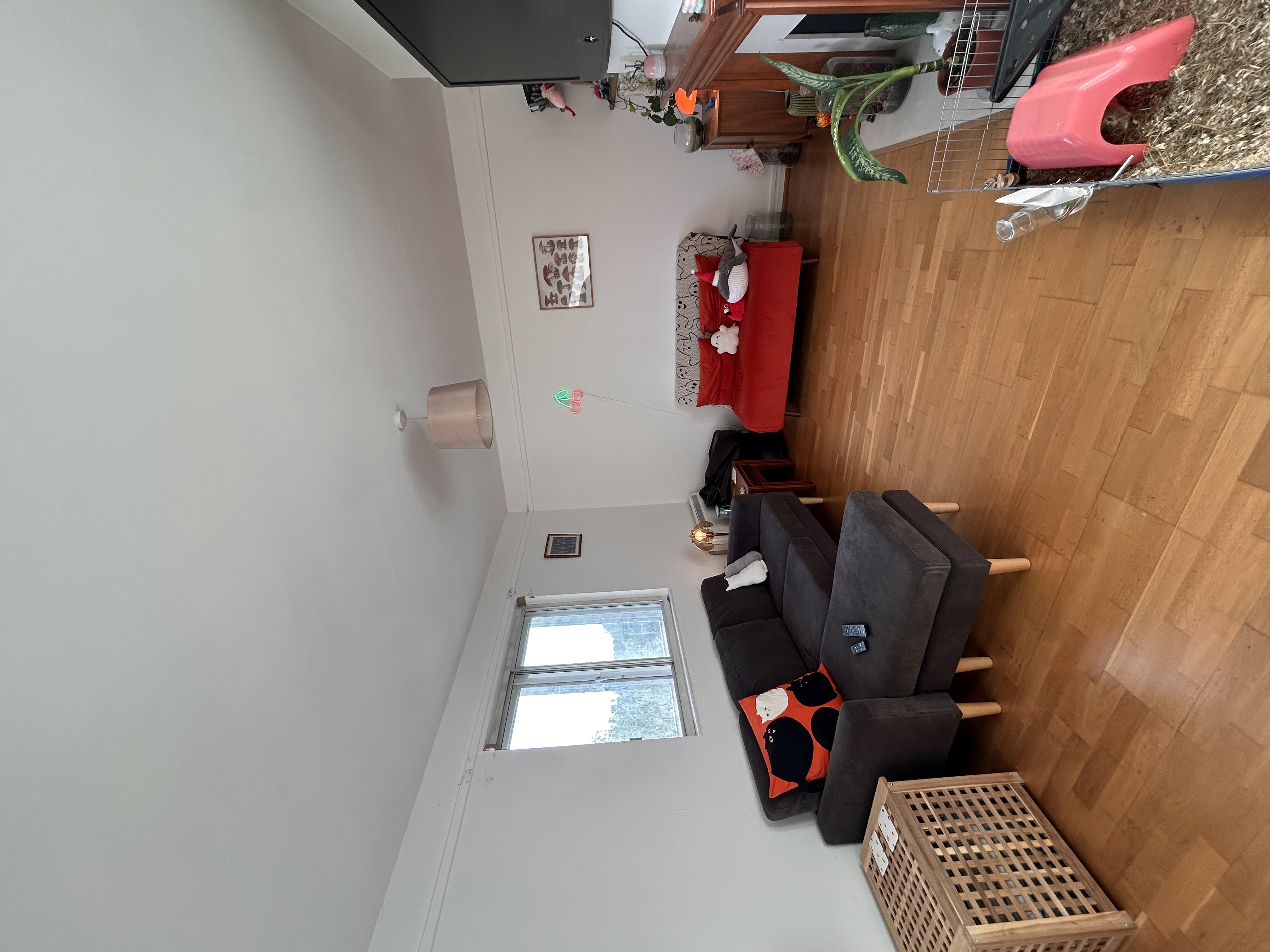 image-20