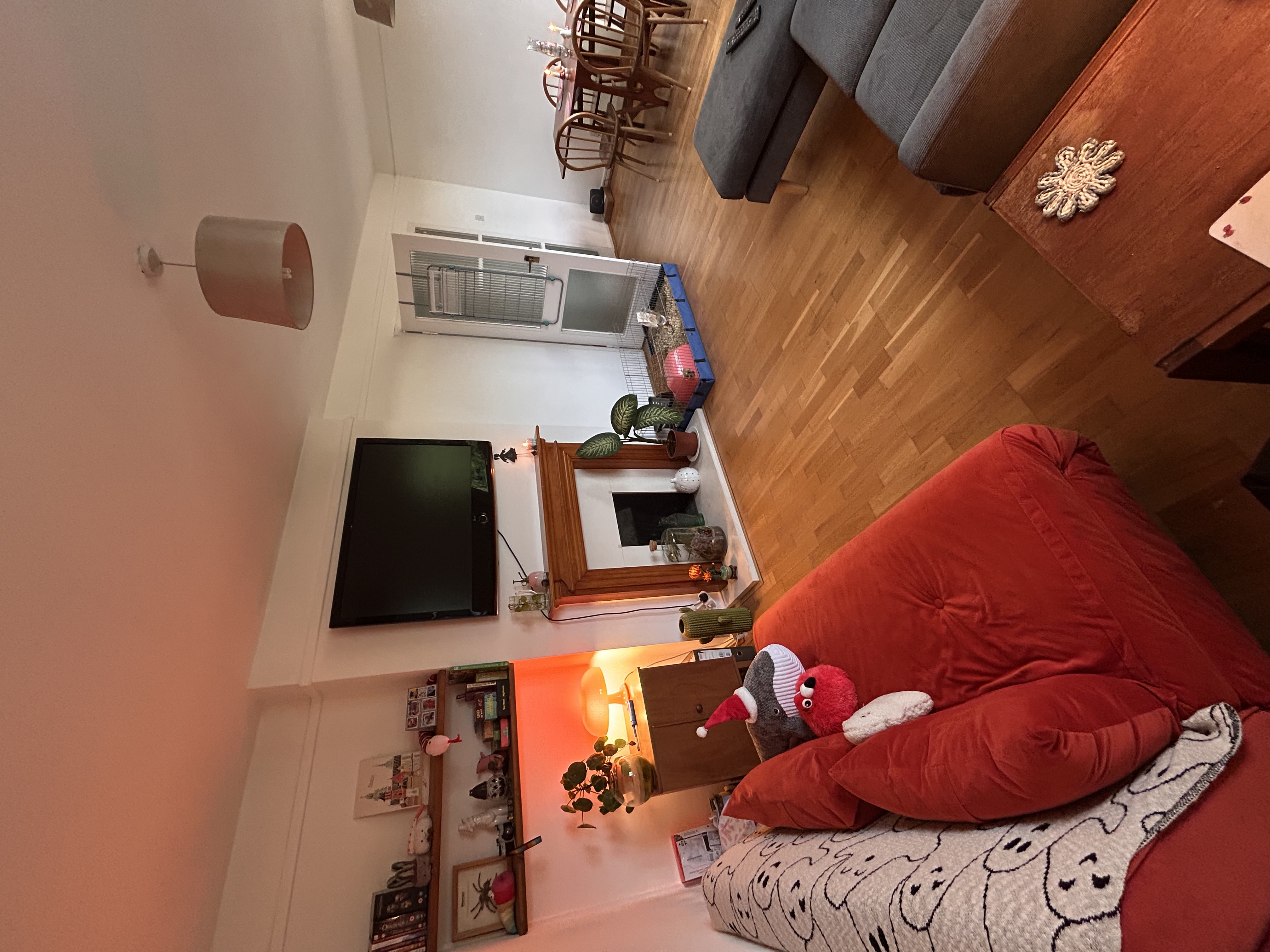 image-19
