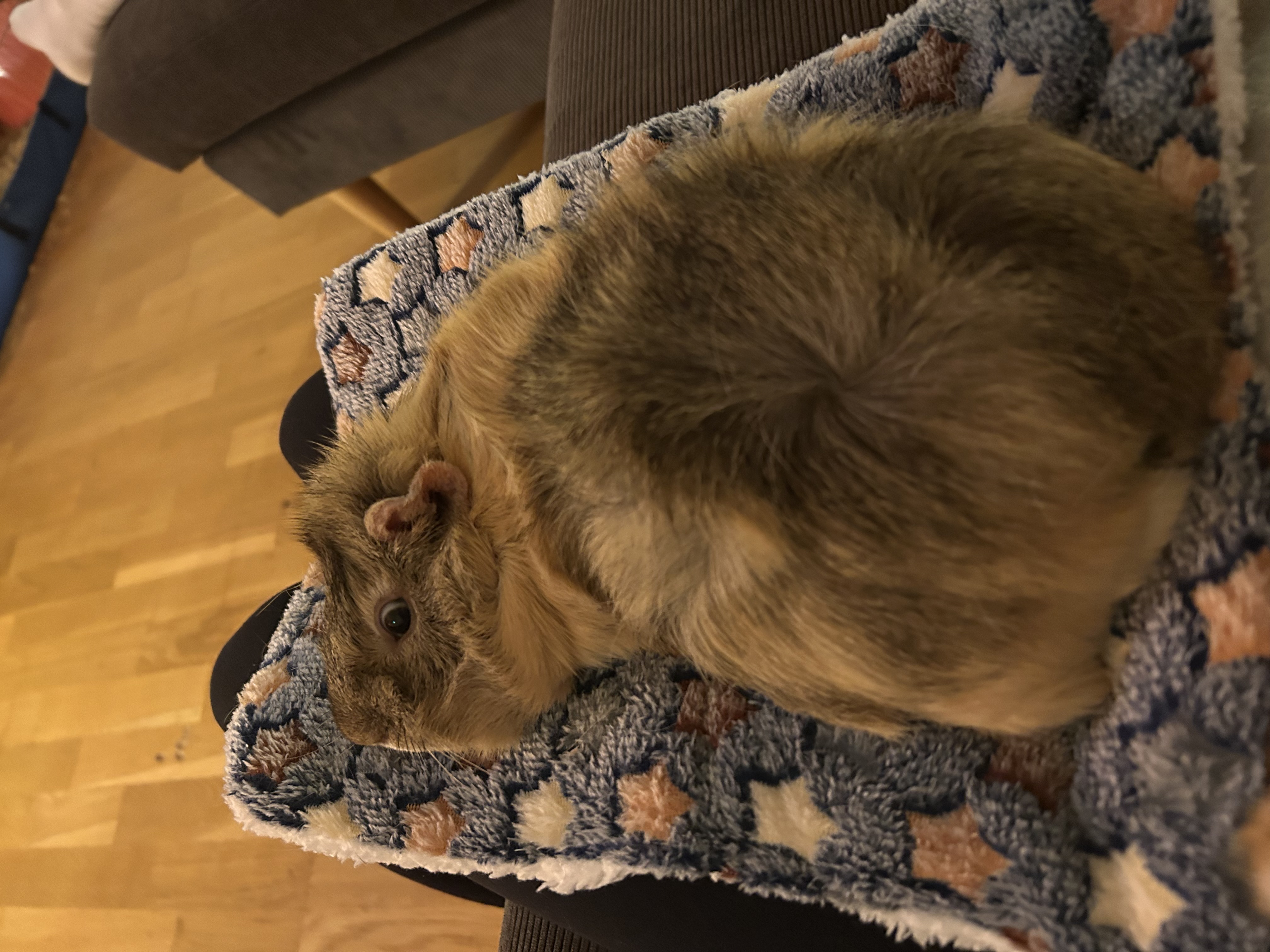 image-9
