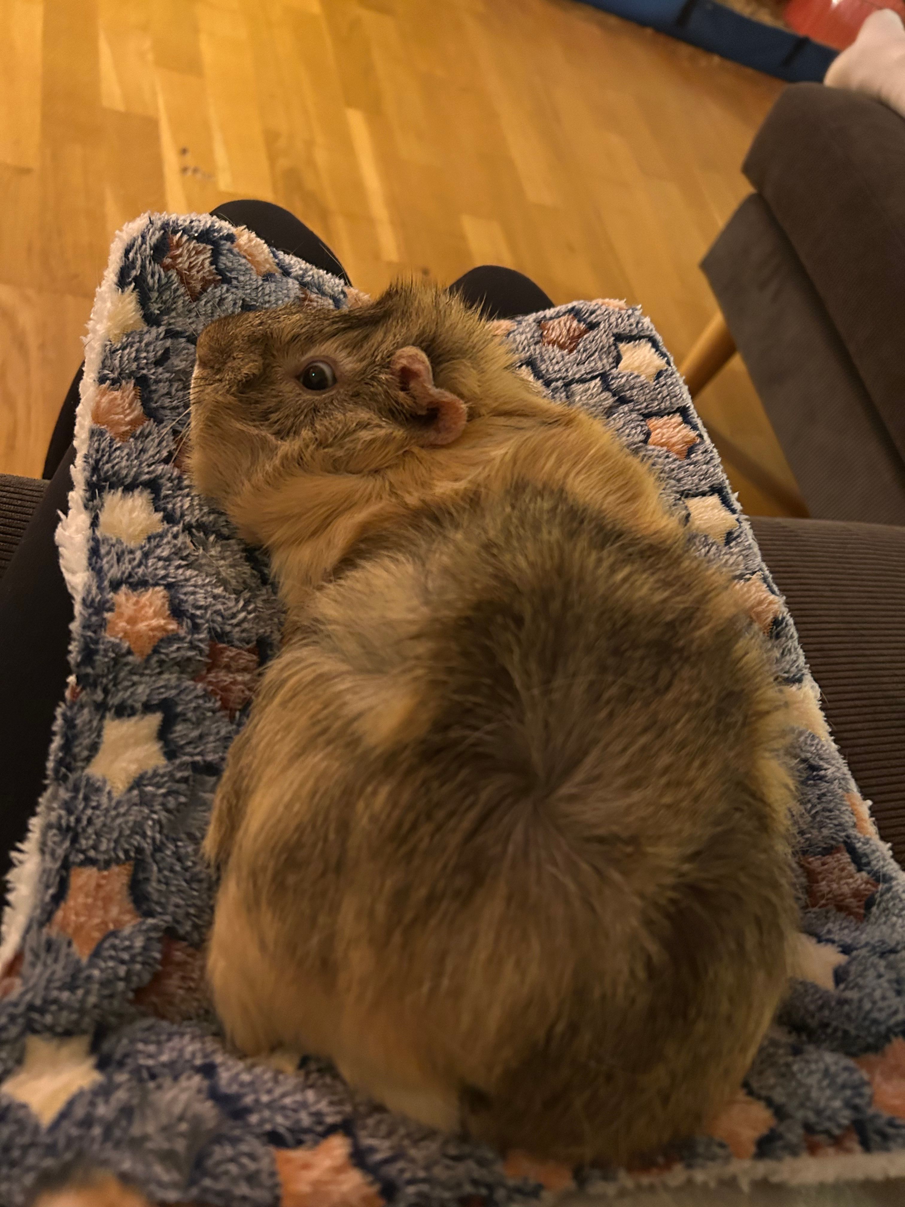 image-9