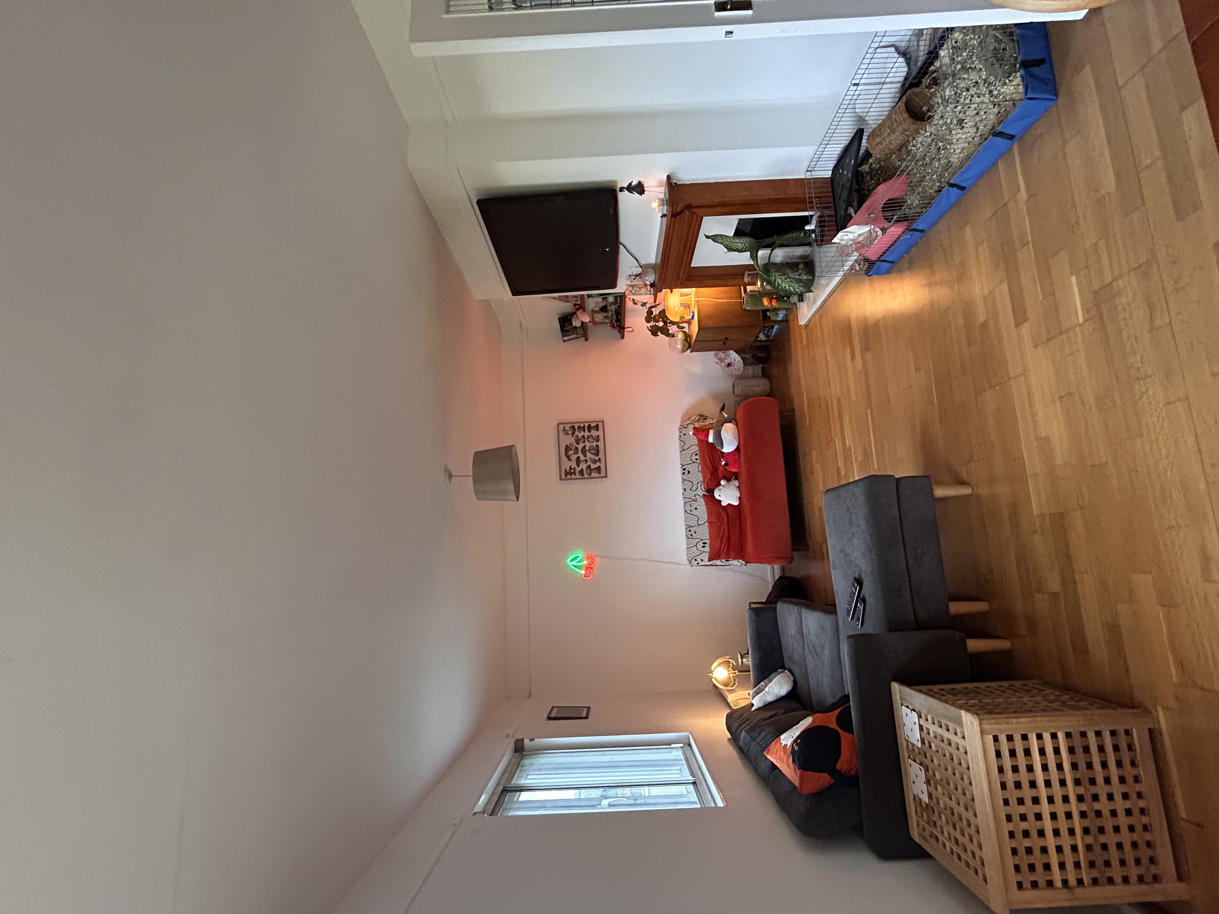 image-15