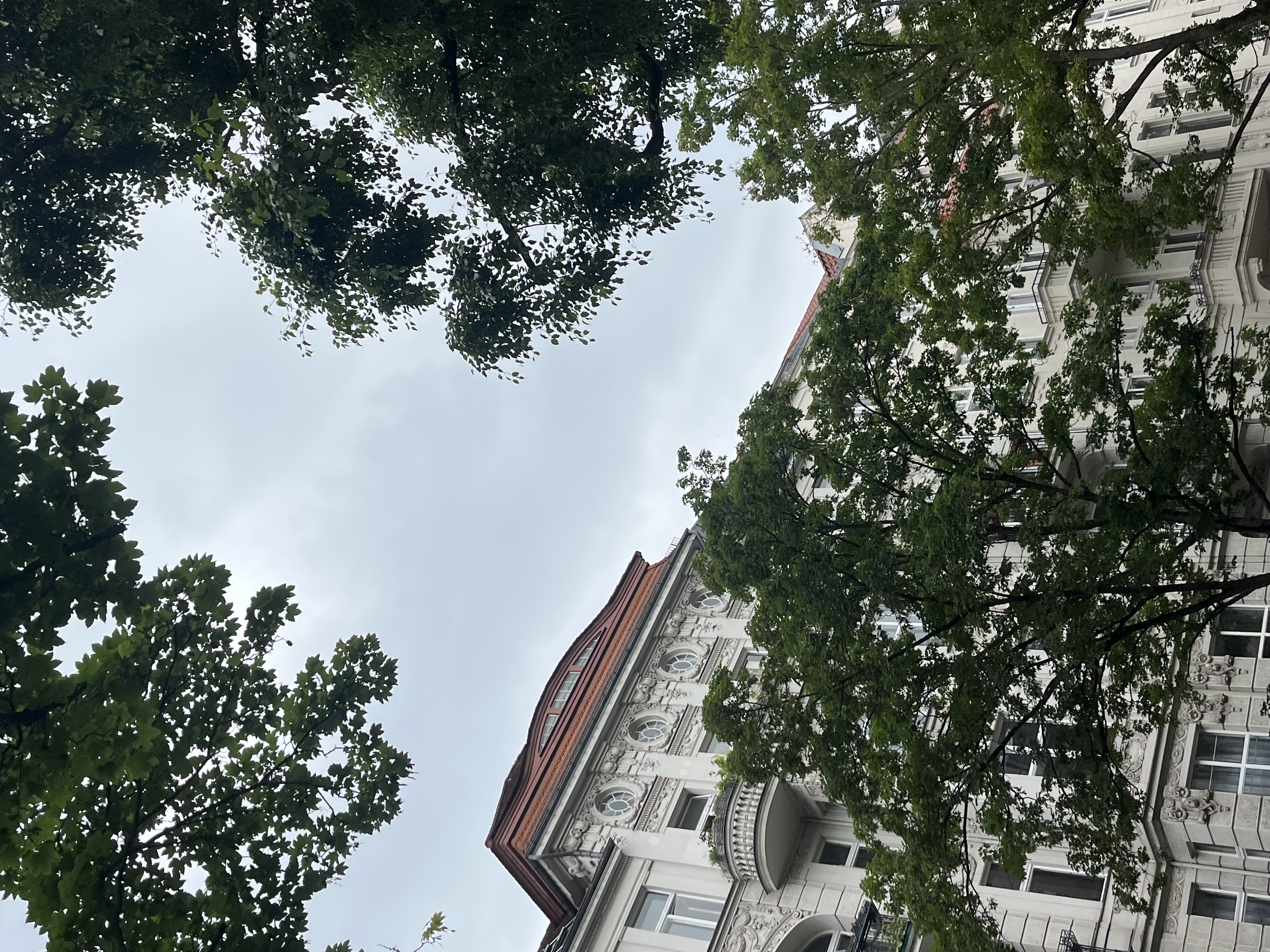 image-18