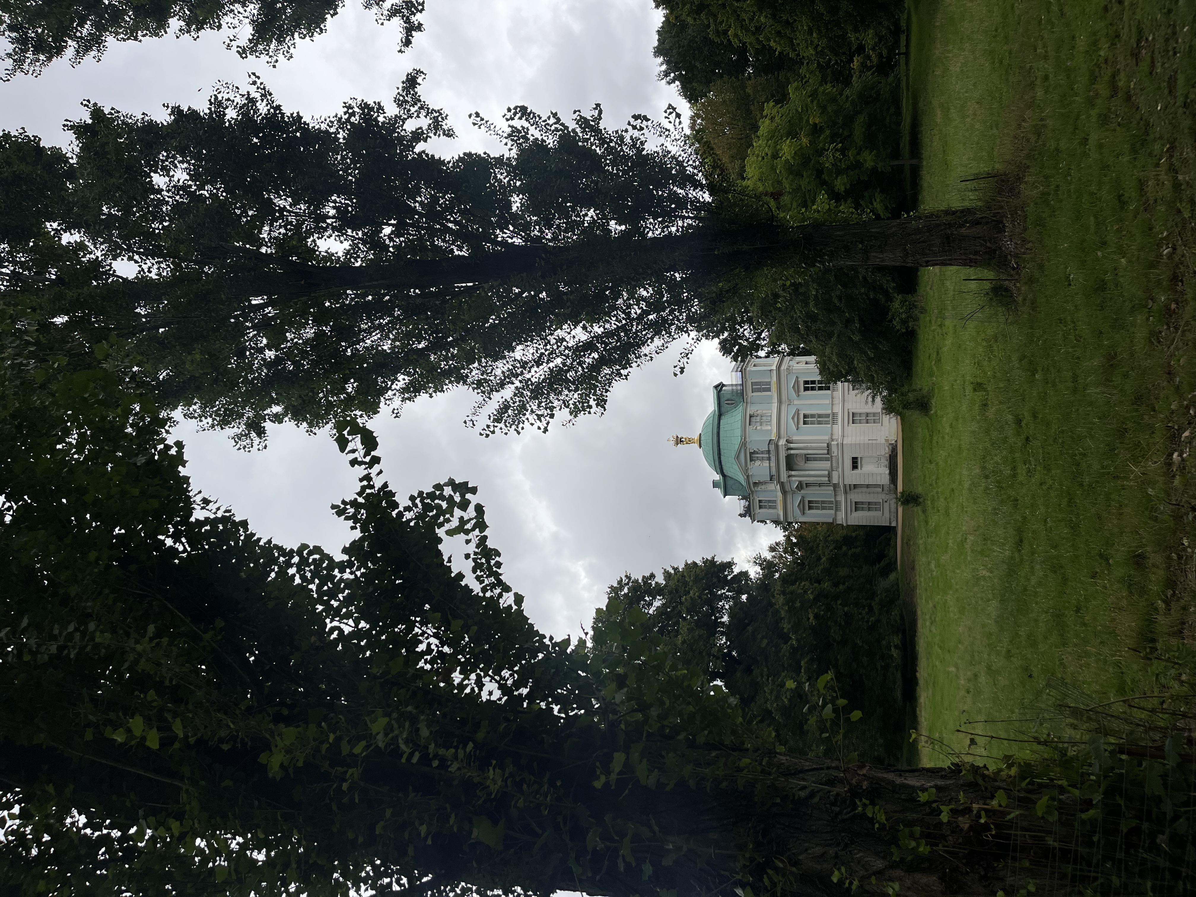 image-14