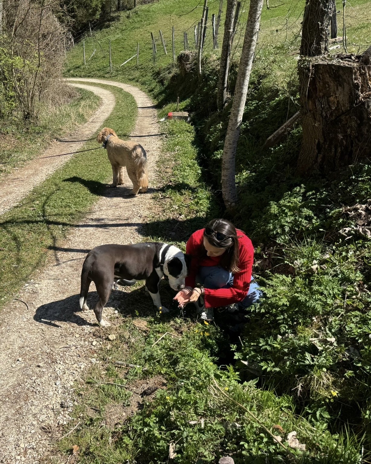 image-5
