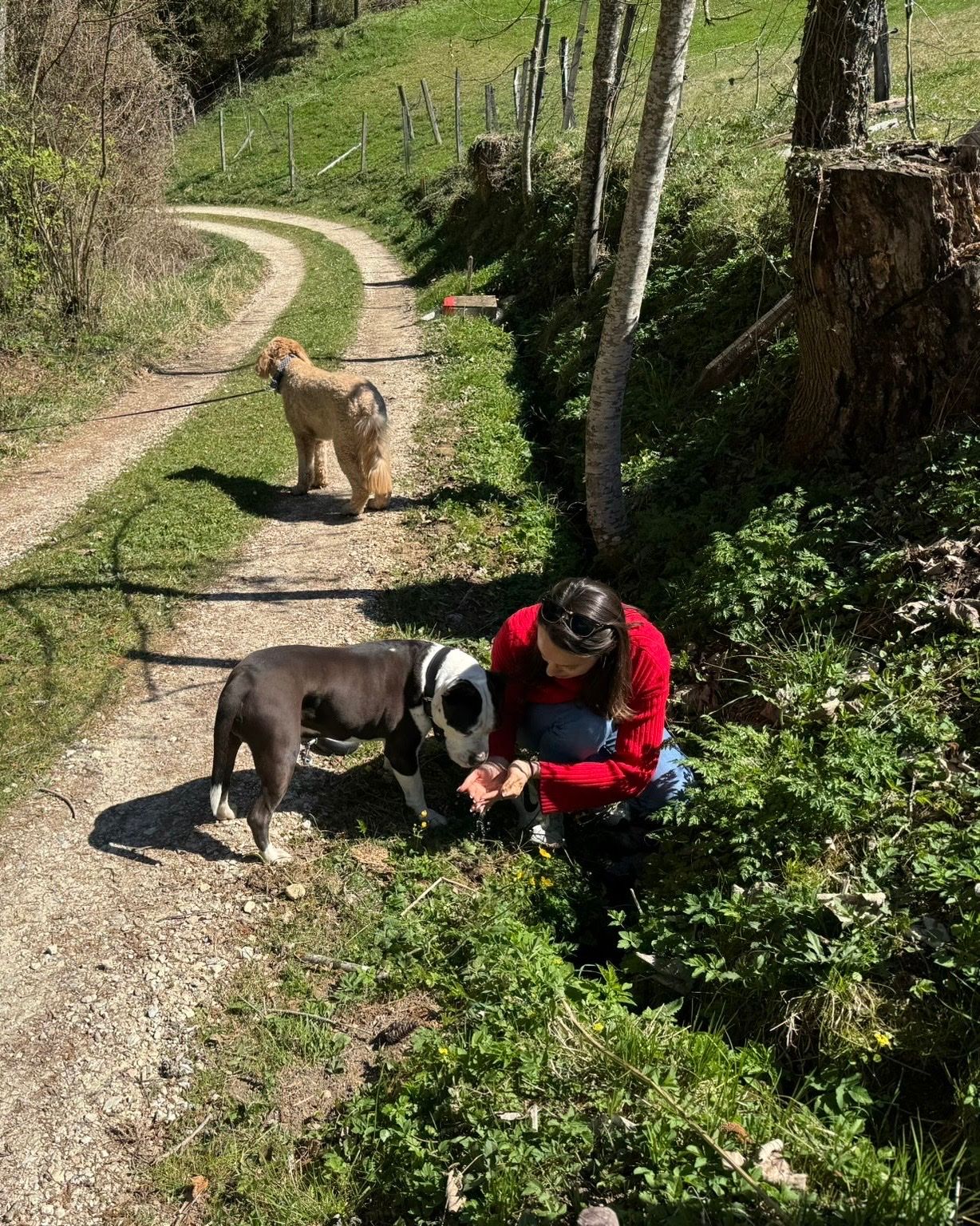 image-5