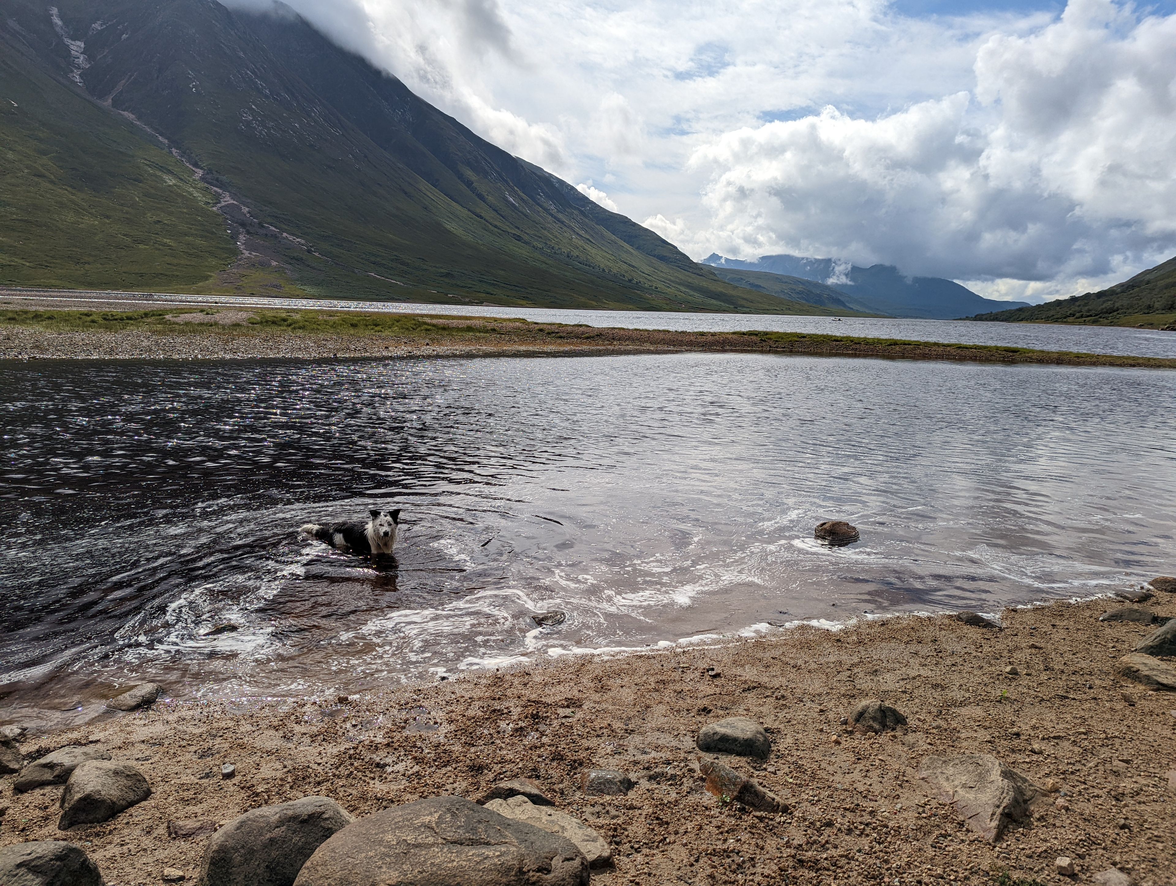 image-7