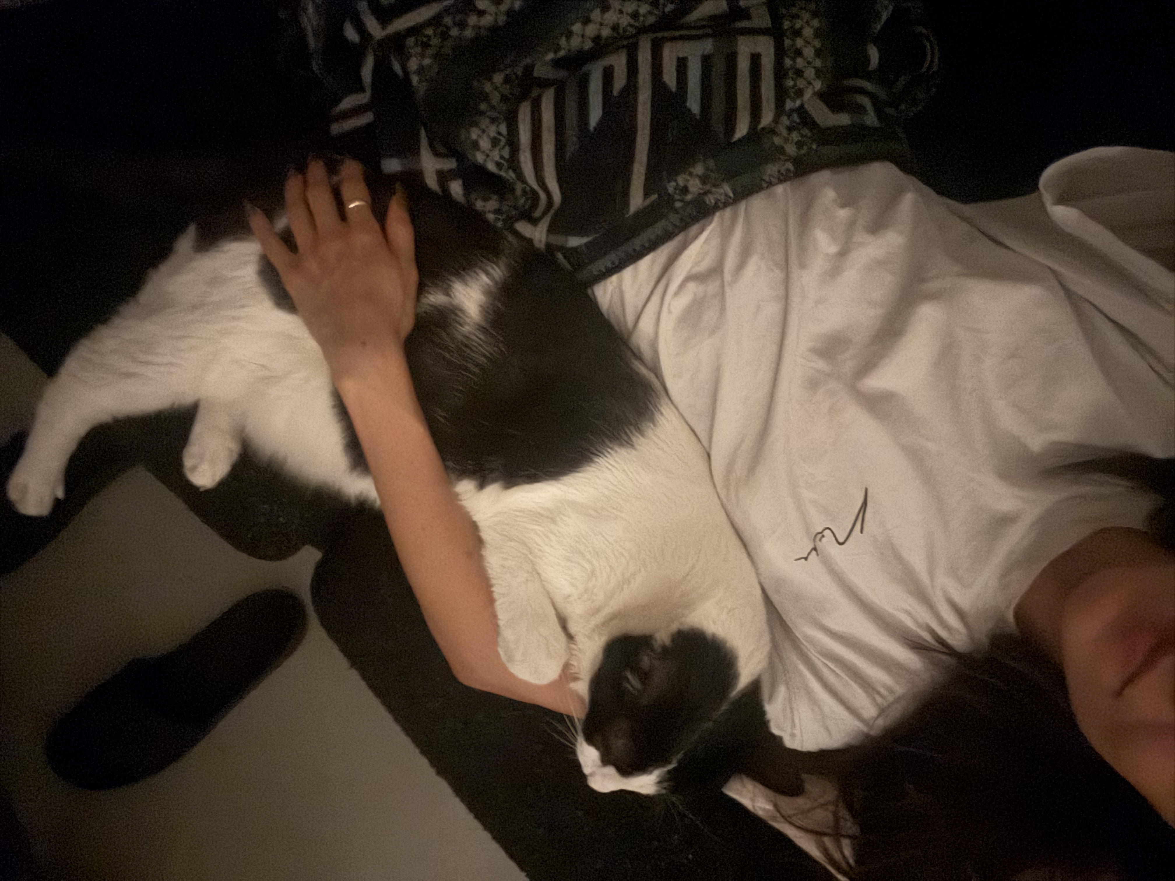image-9