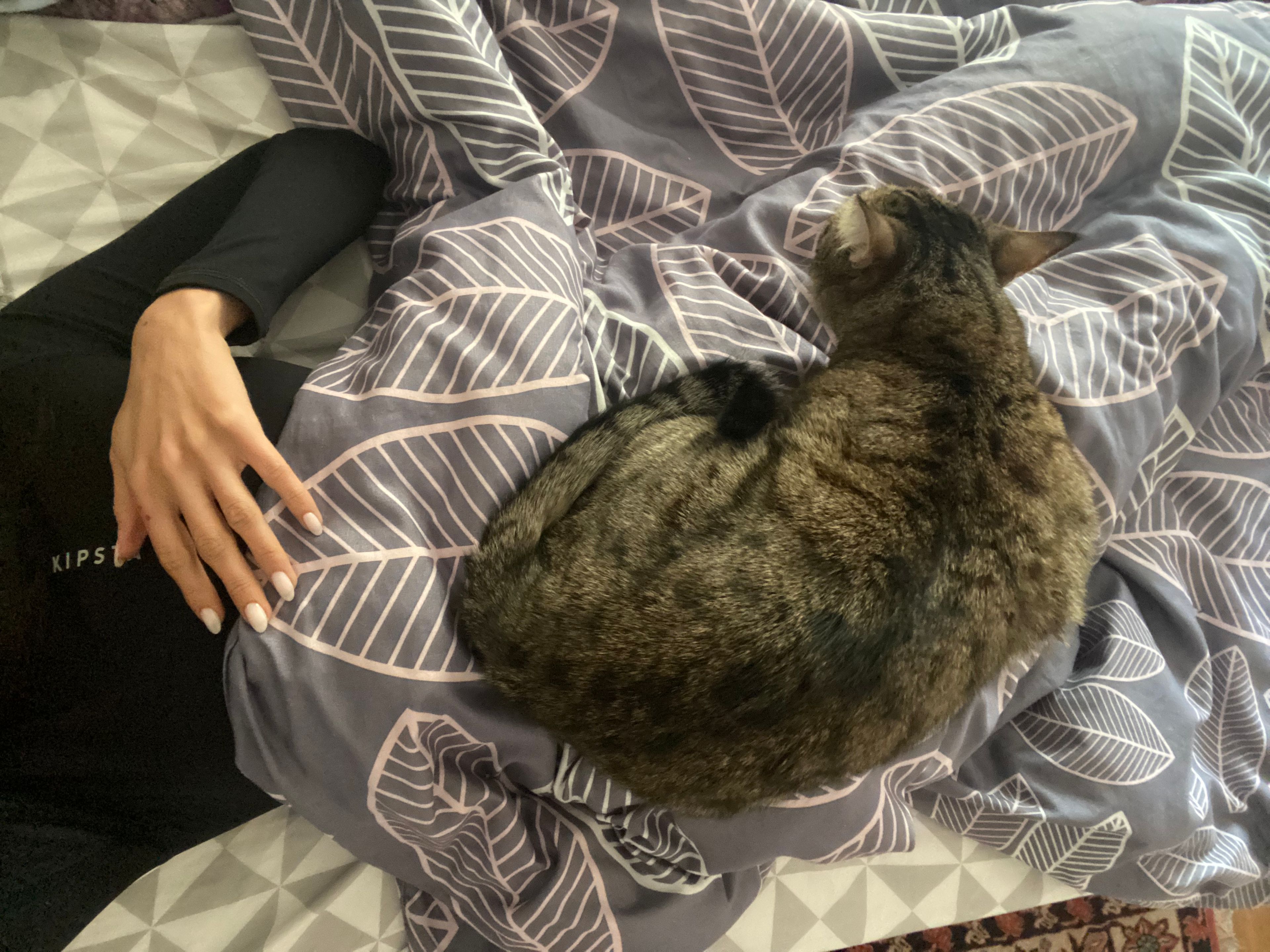 image-8