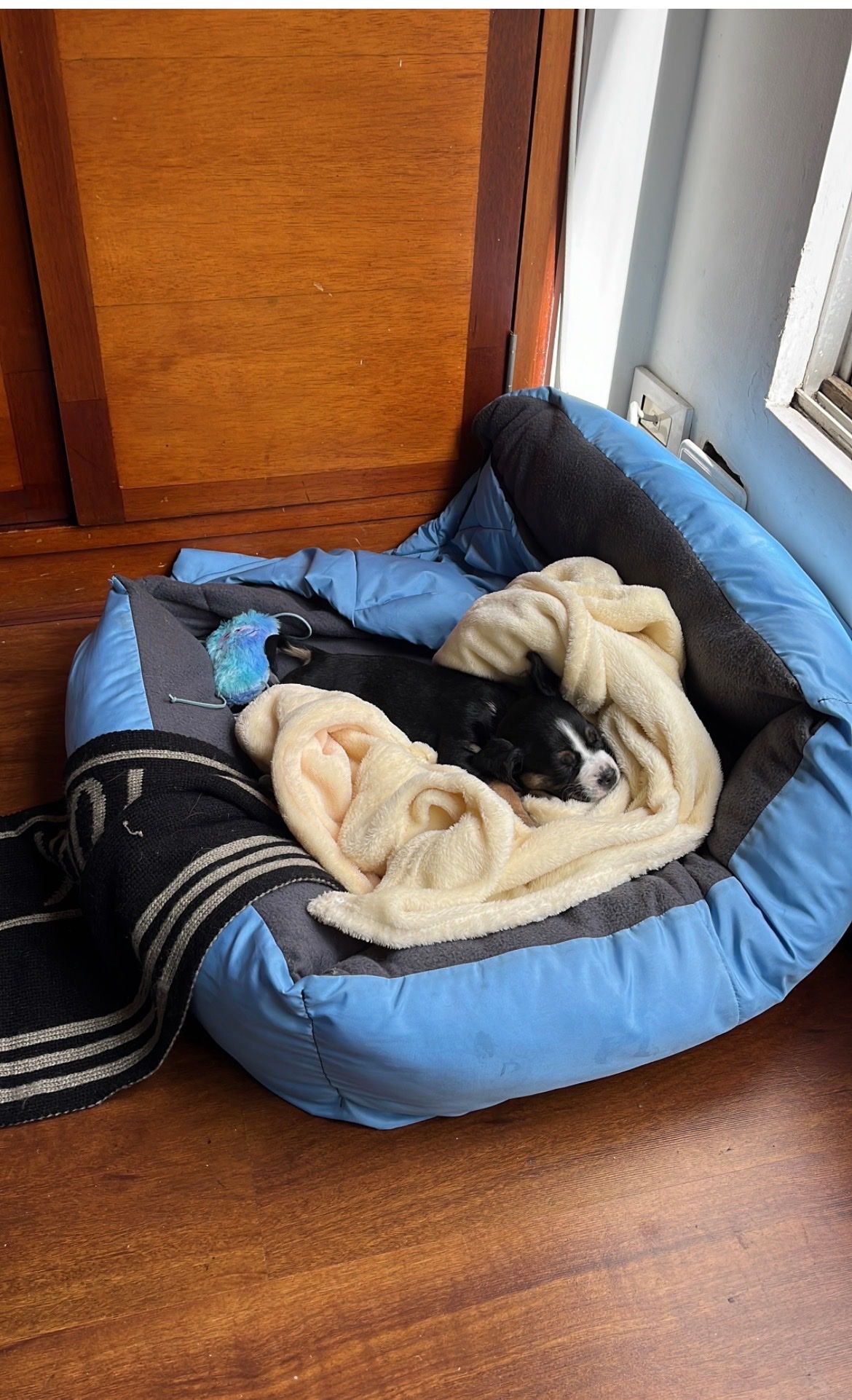 image-3