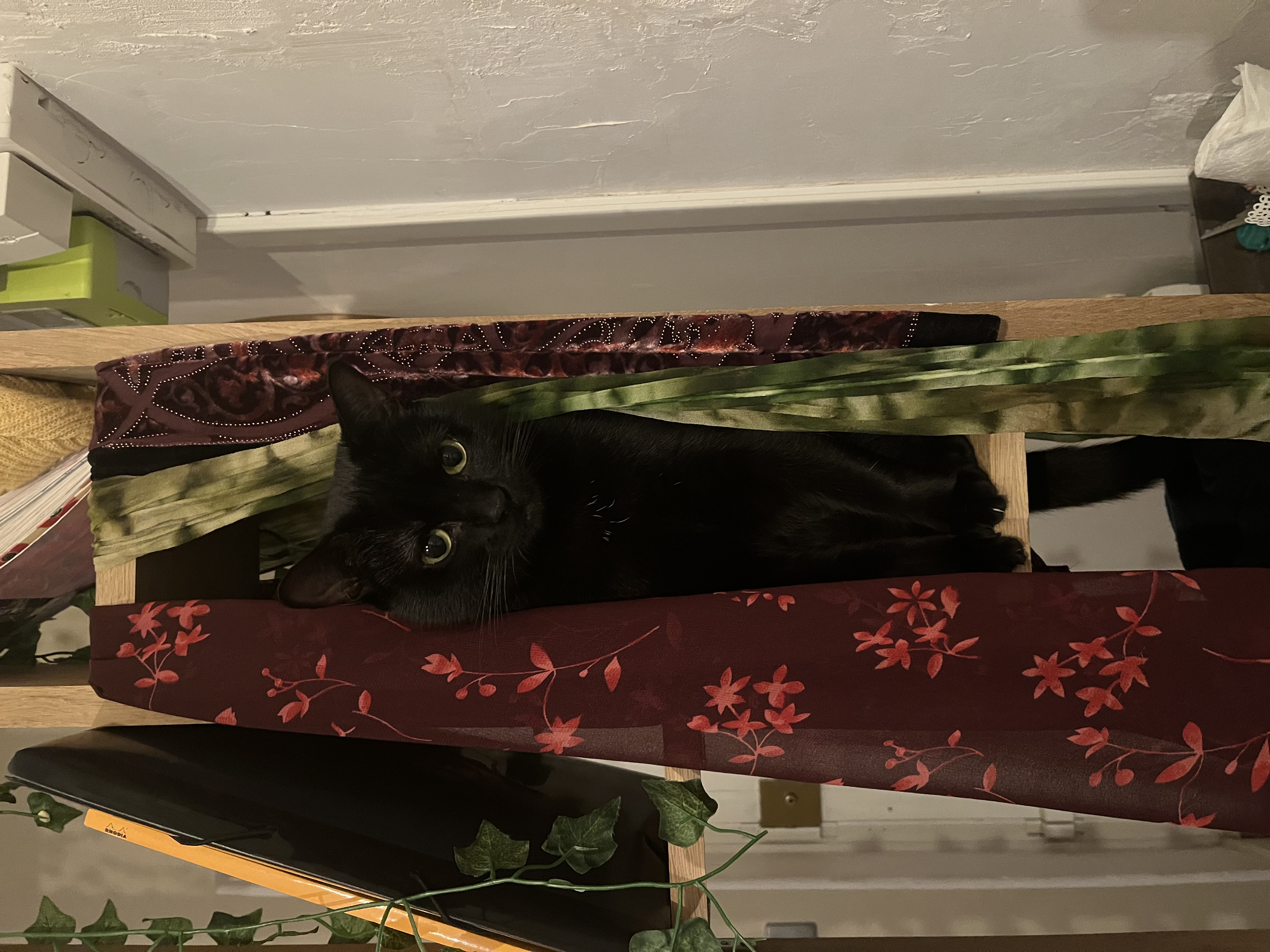 image-6